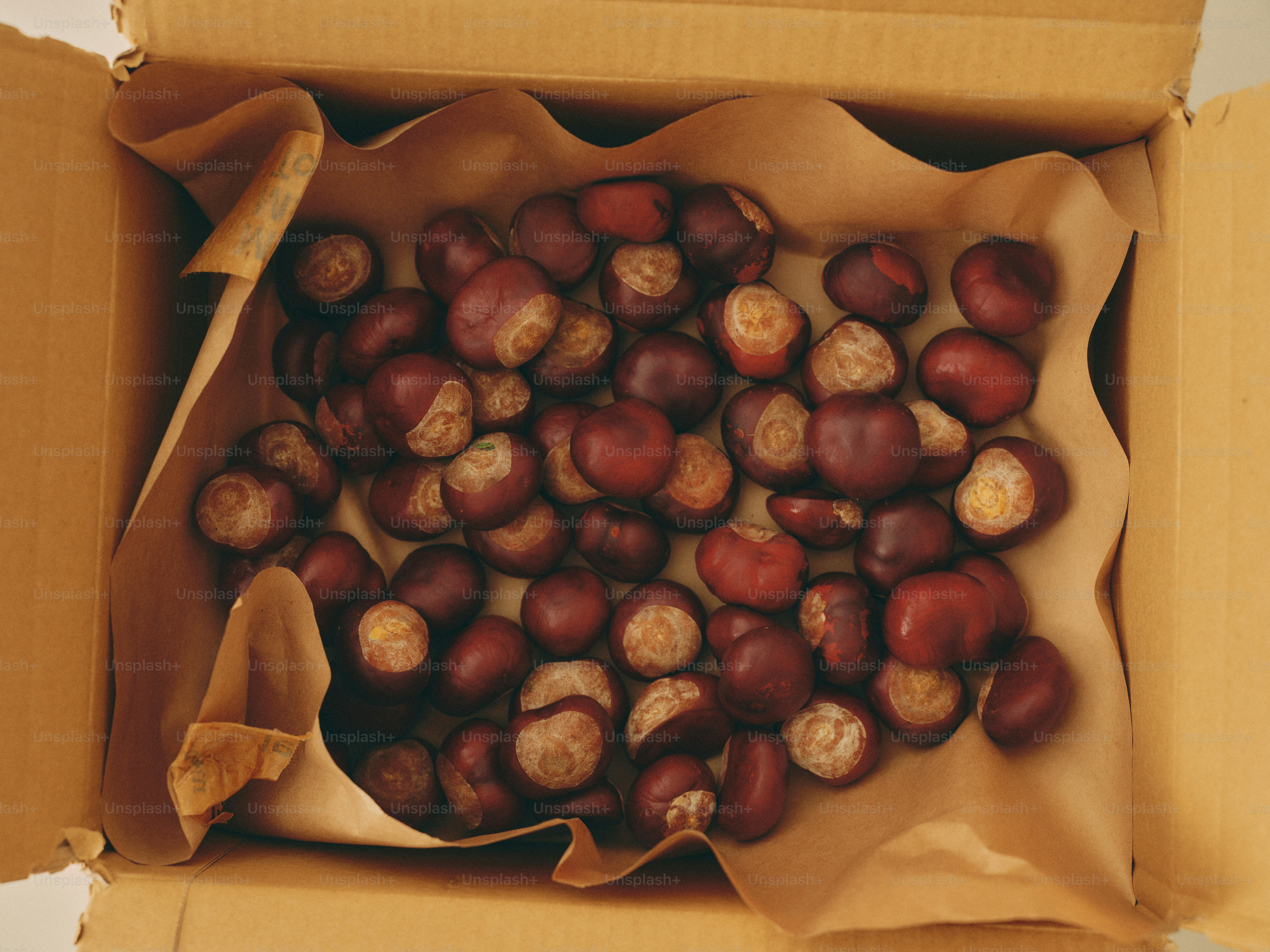 A box filled with fresh, brown chestnuts