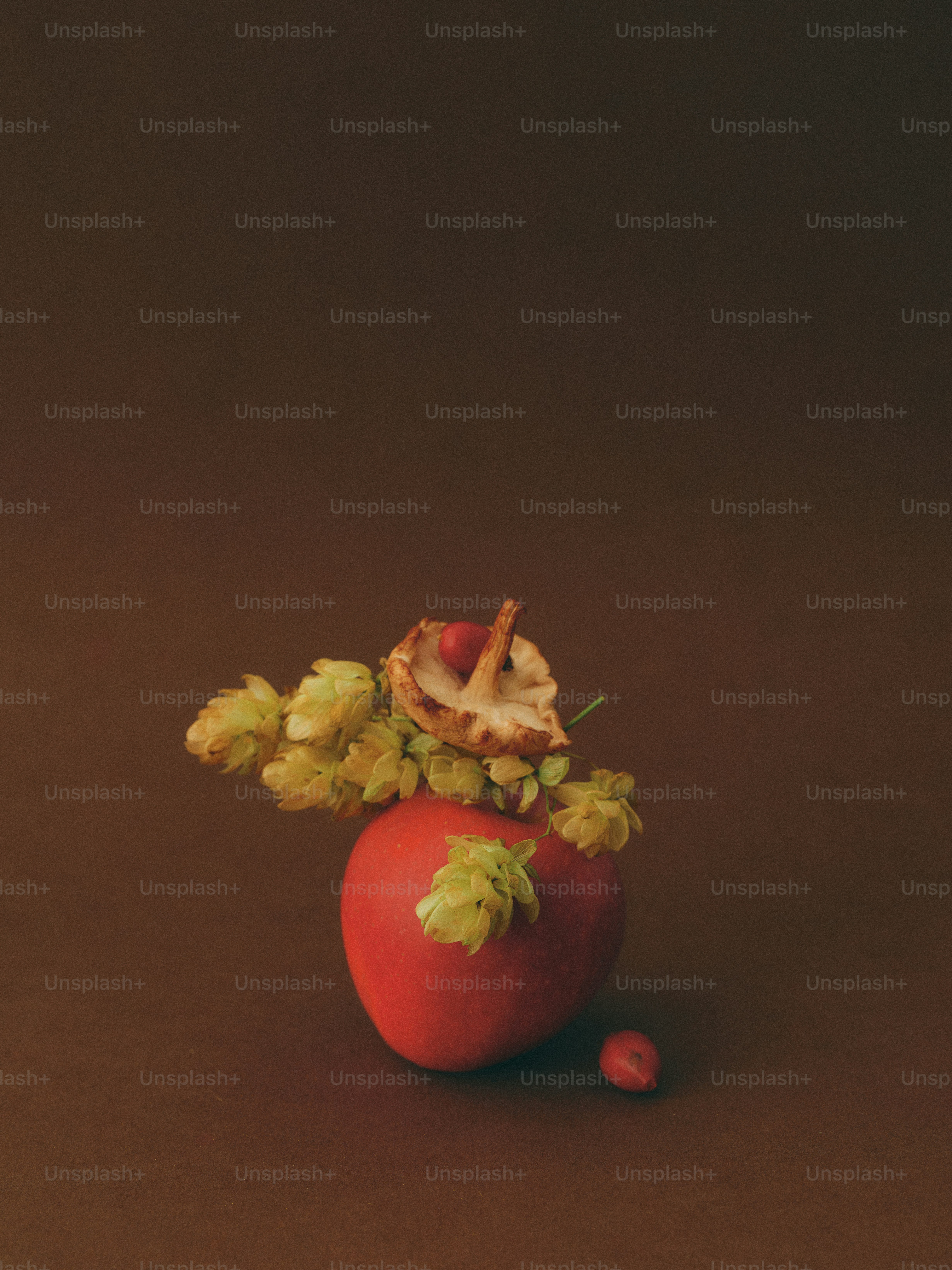 Red apple with hops and dried fruit decoration