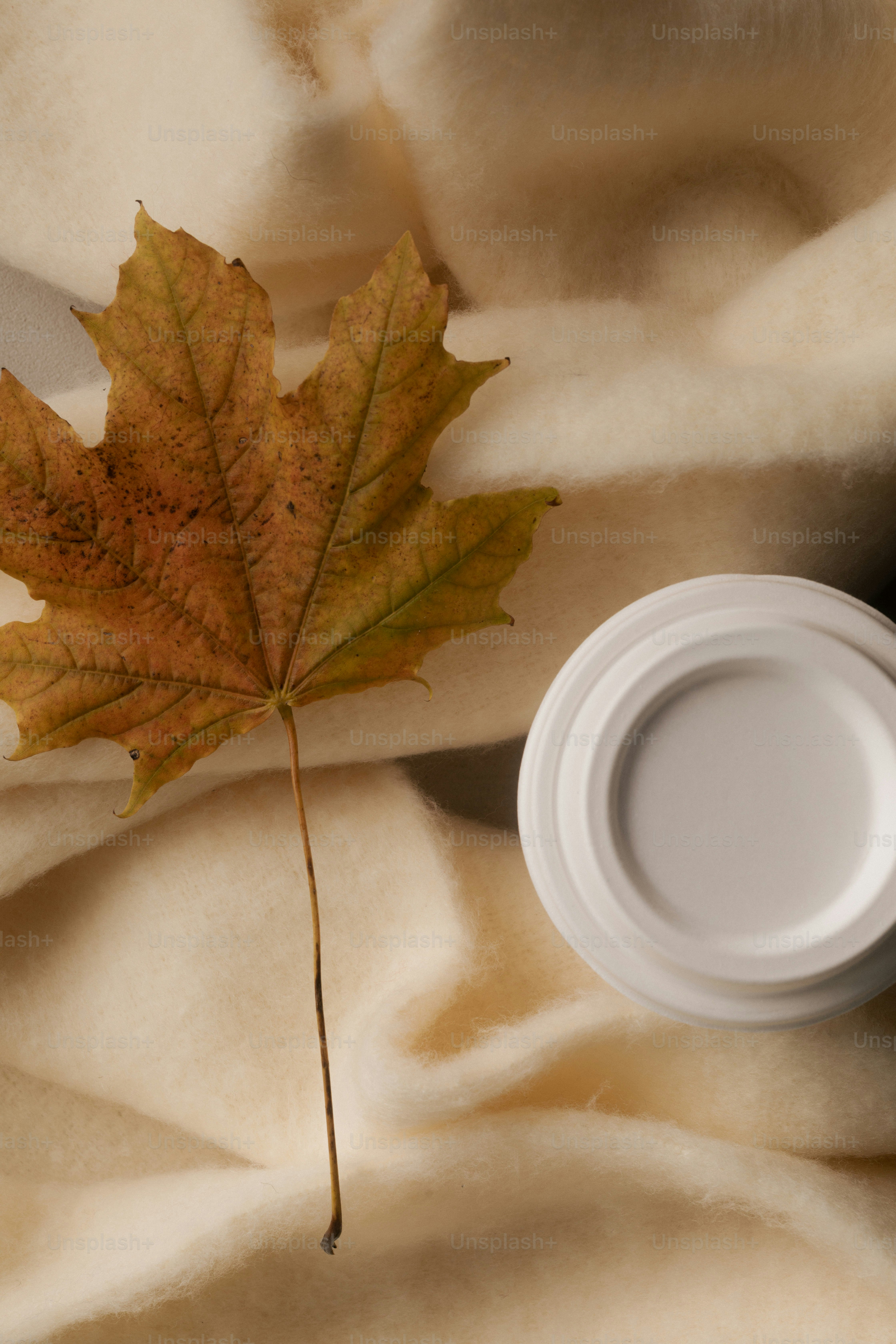 A single autumn leaf rests on a soft blanket.