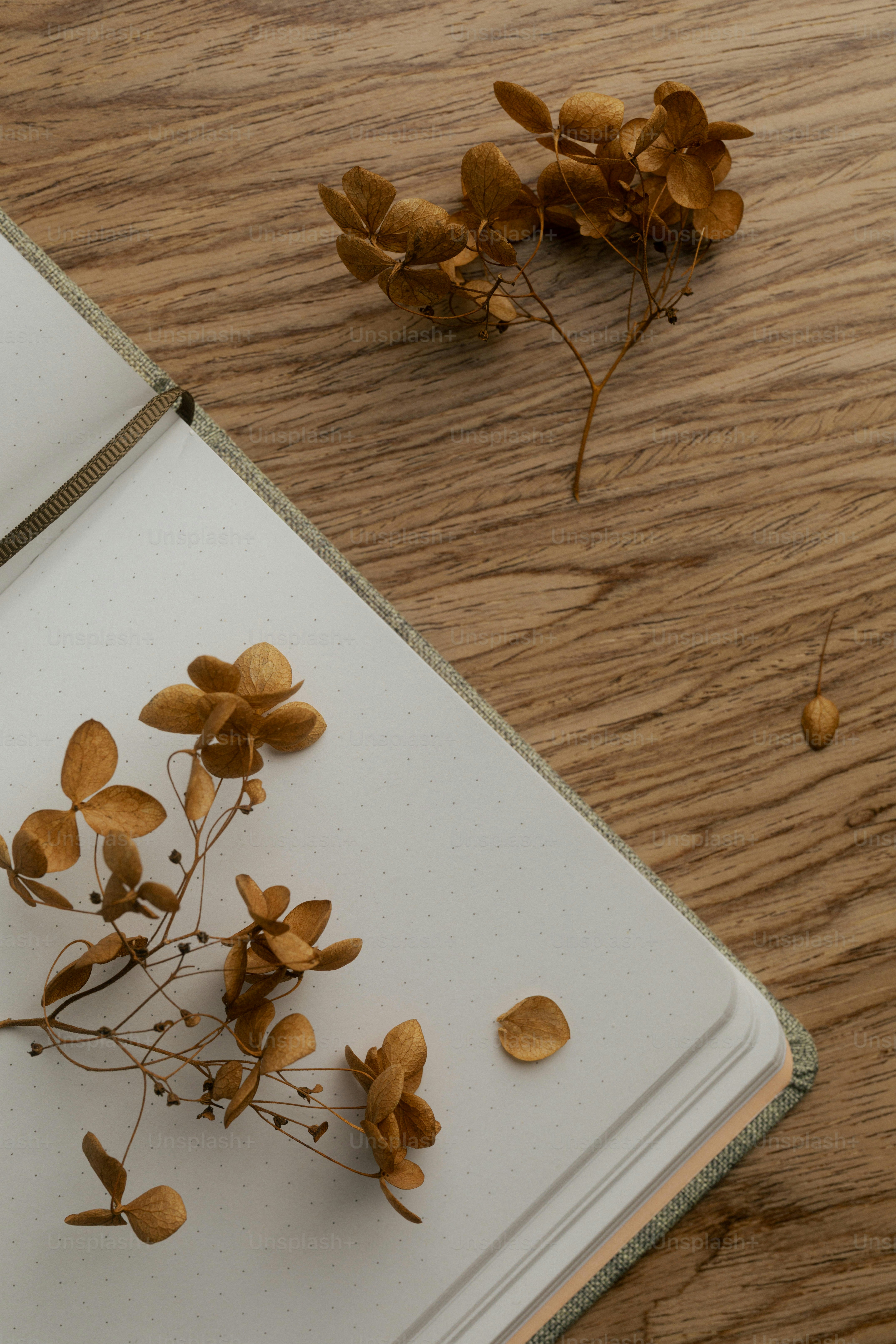 Dried flowers on an open notebook