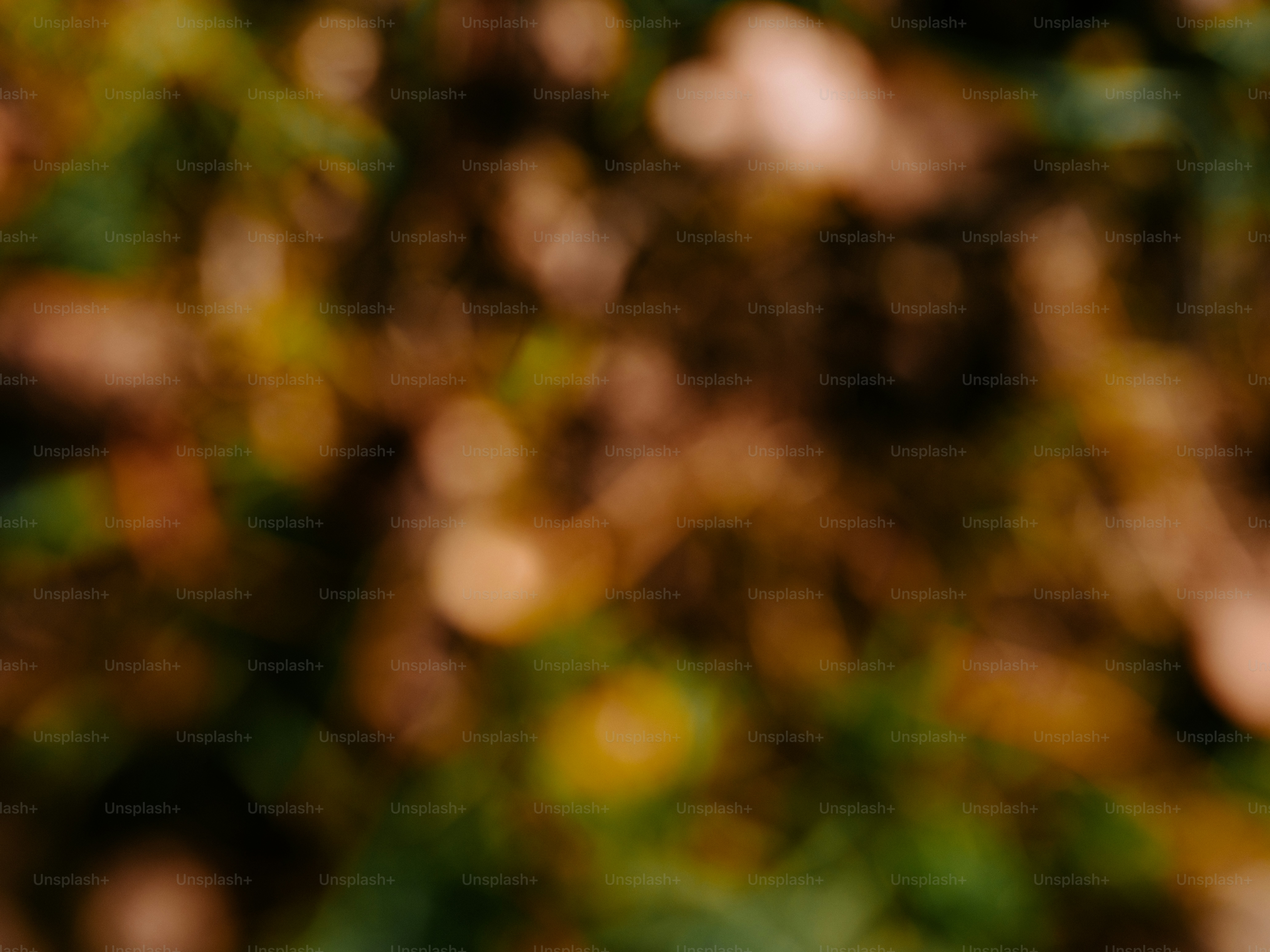 Lumières bokeh abstraites avec des teintes brunes et vertes
