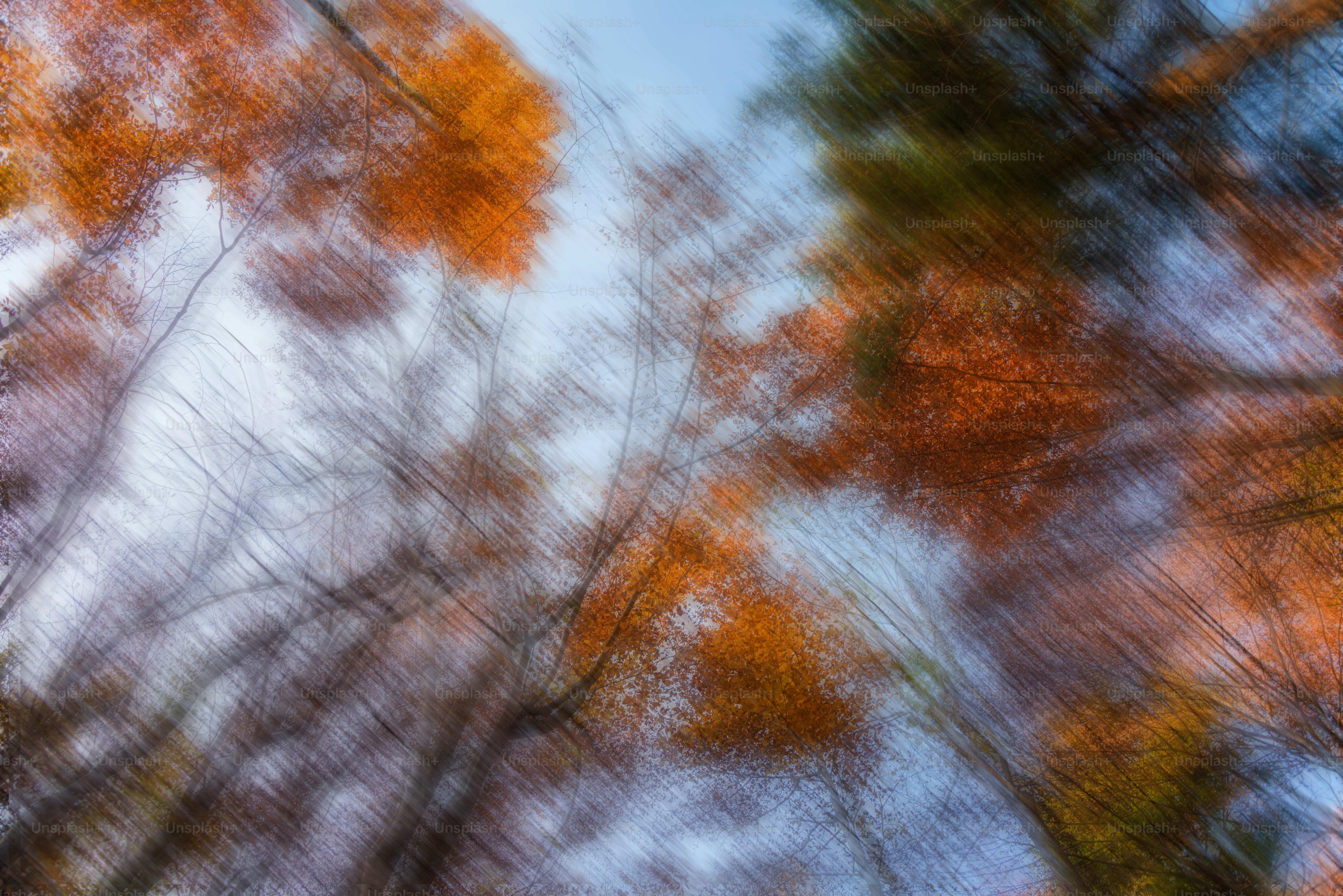 Verschwommene Herbstblätter vor einem blassblauen Himmel
