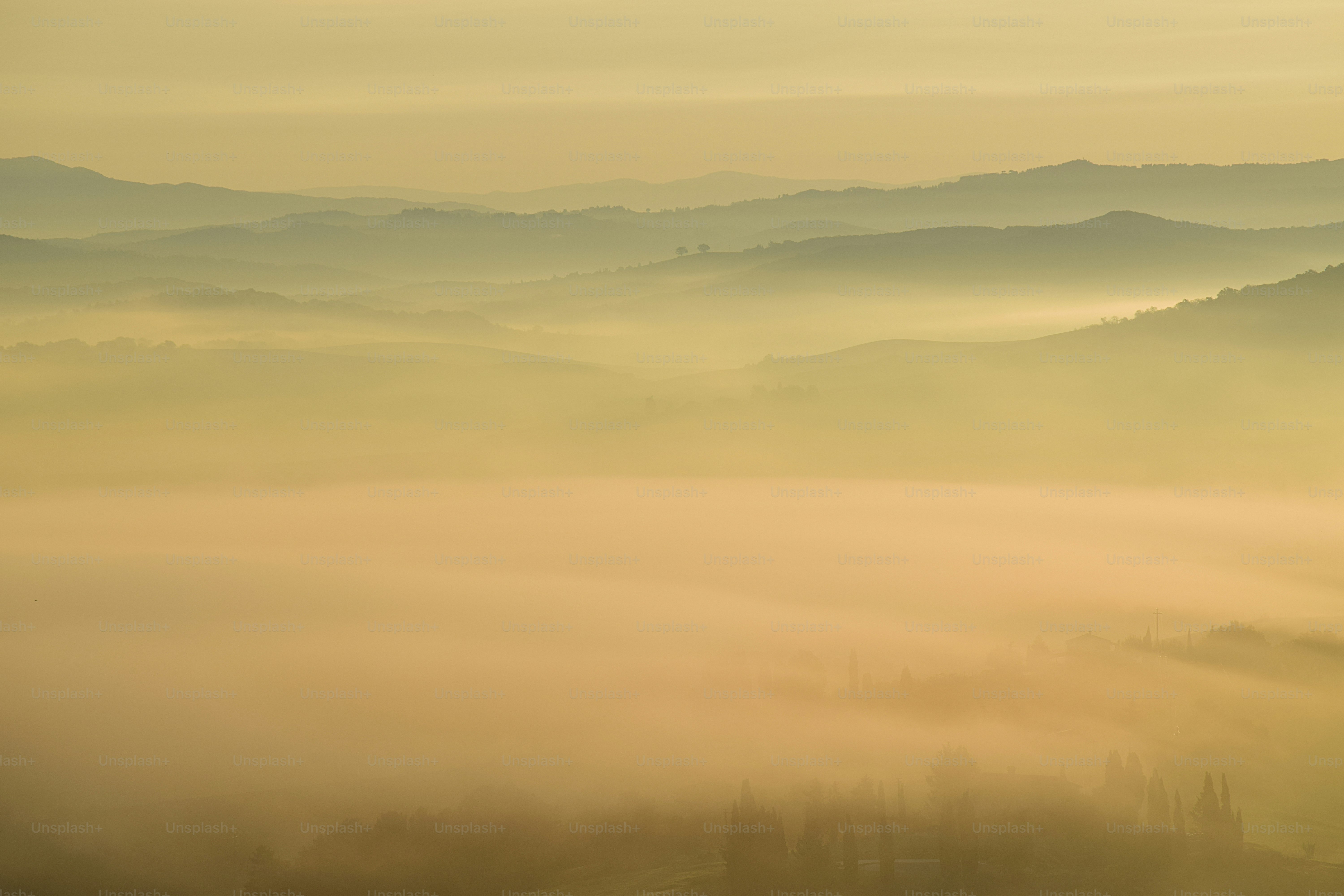 Misty rolling hills at sunrise with golden light