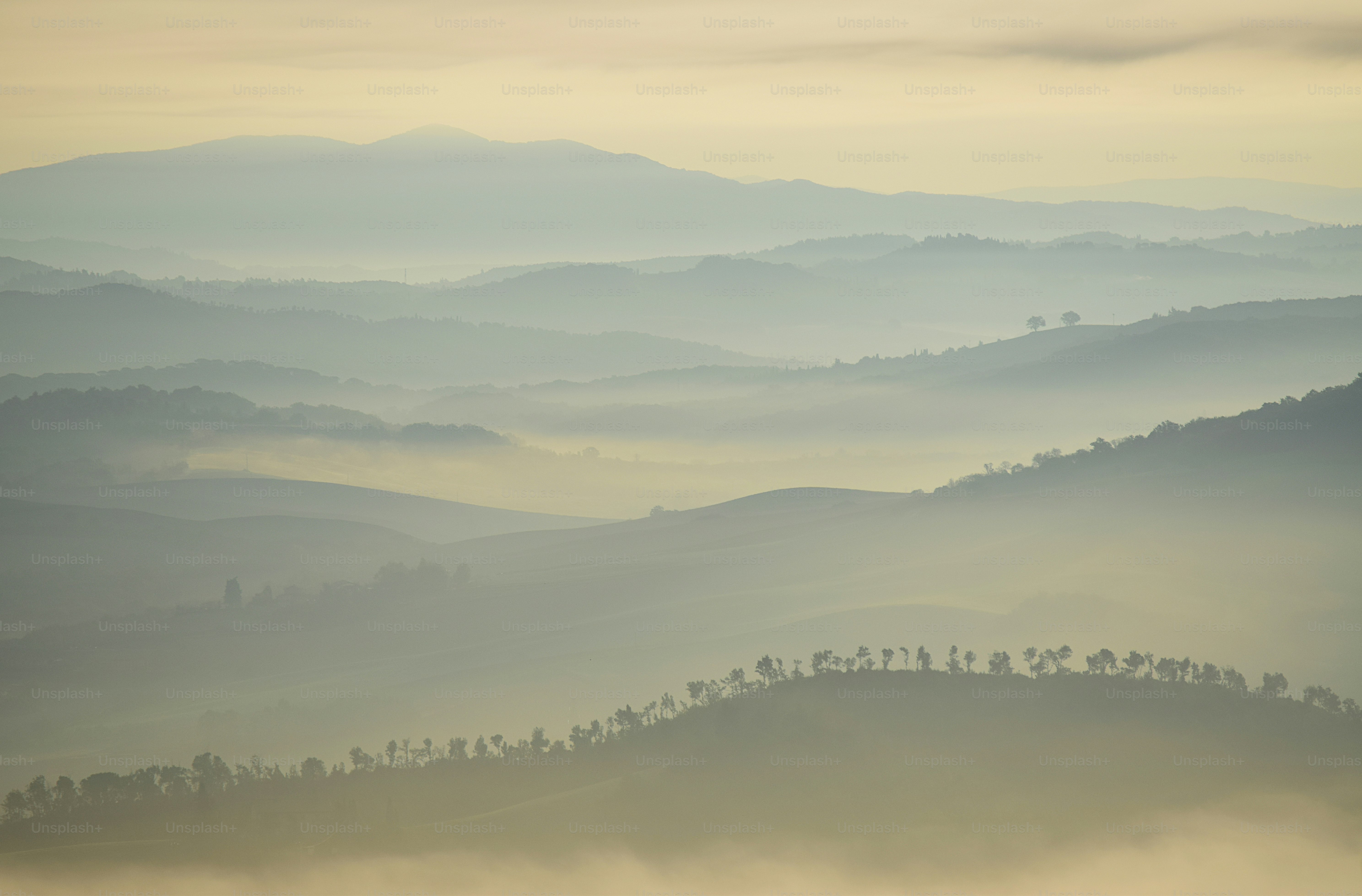 Misty rolling hills with silhouetted trees at sunrise