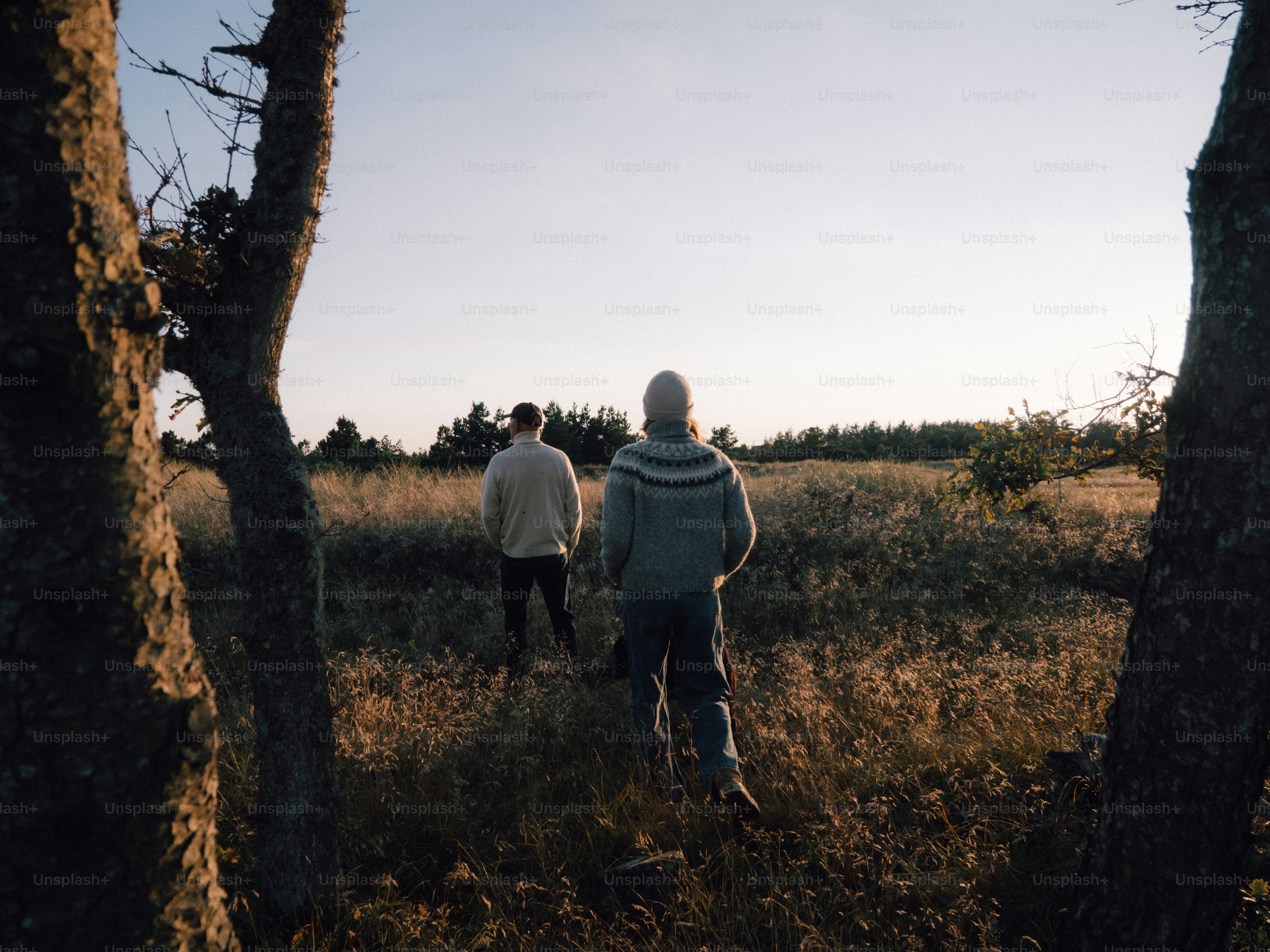 Two people walking through a field at sunset photo – Sunset Image on ...