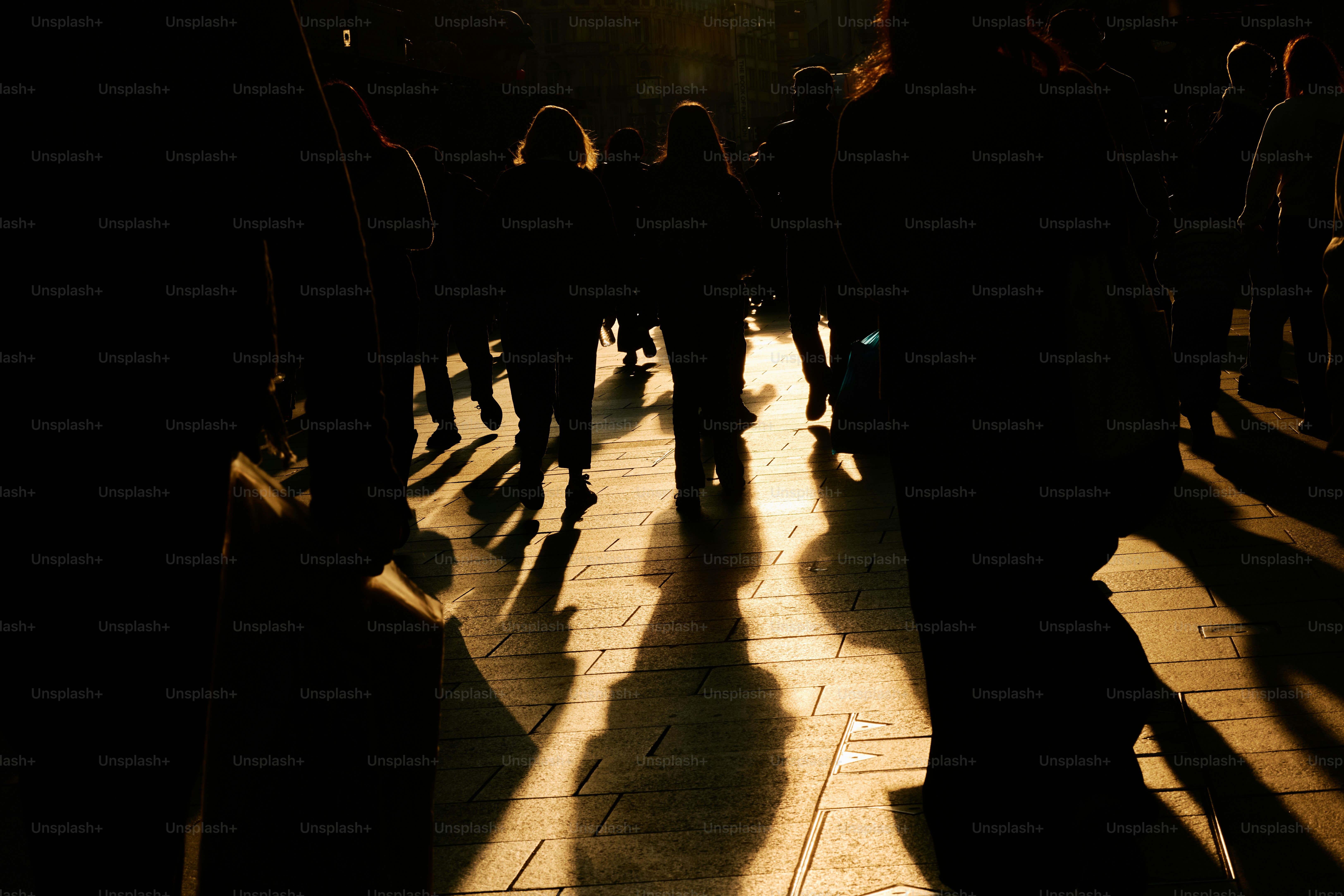 Silhouetted crowd with long shadows on floor.