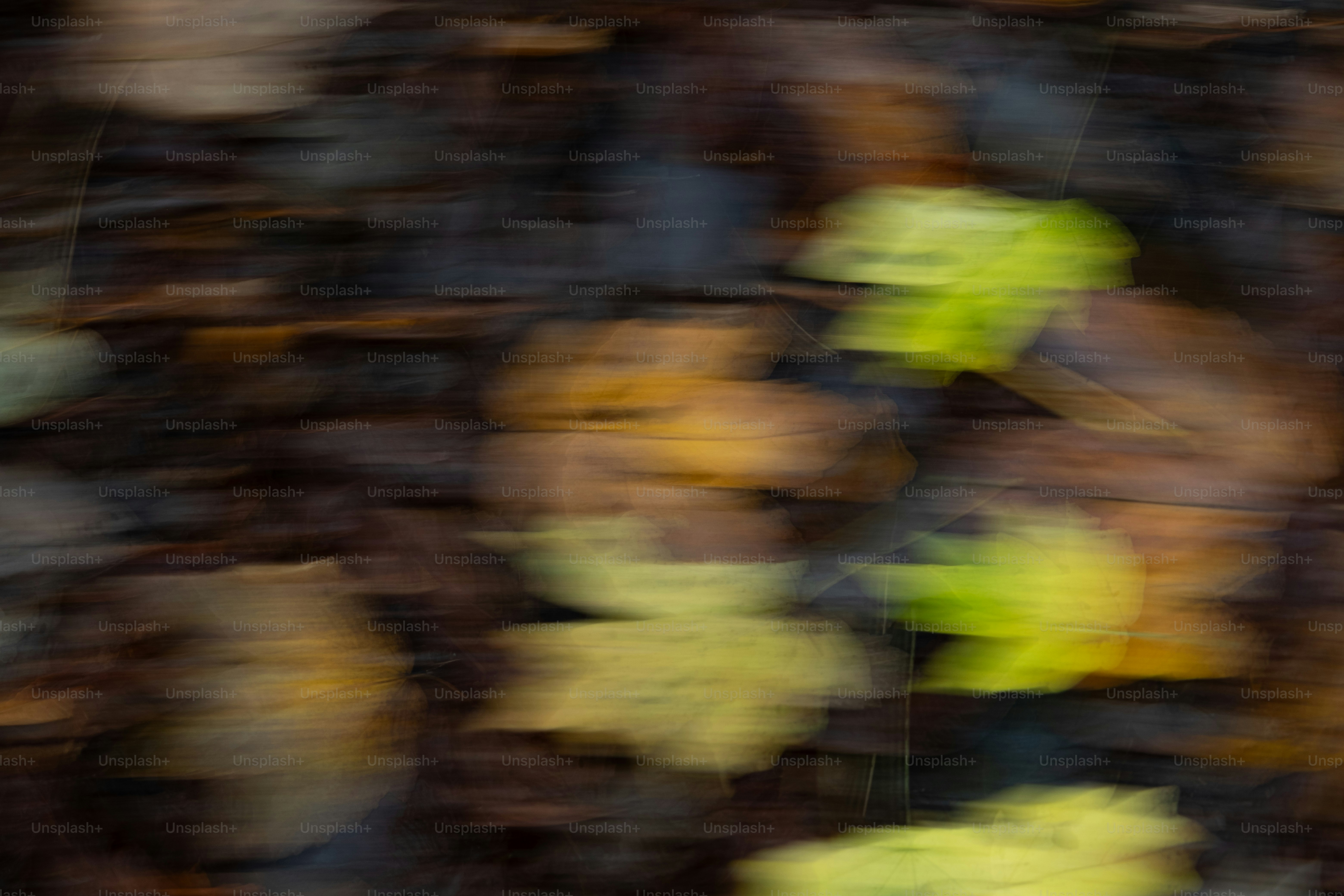 숲 바닥의 흐릿한 단풍.