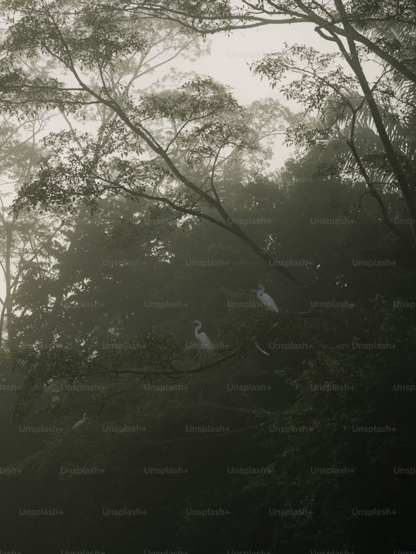 Vibrant dyed textiles drying in the Marrakech sun, handmade by local artisans