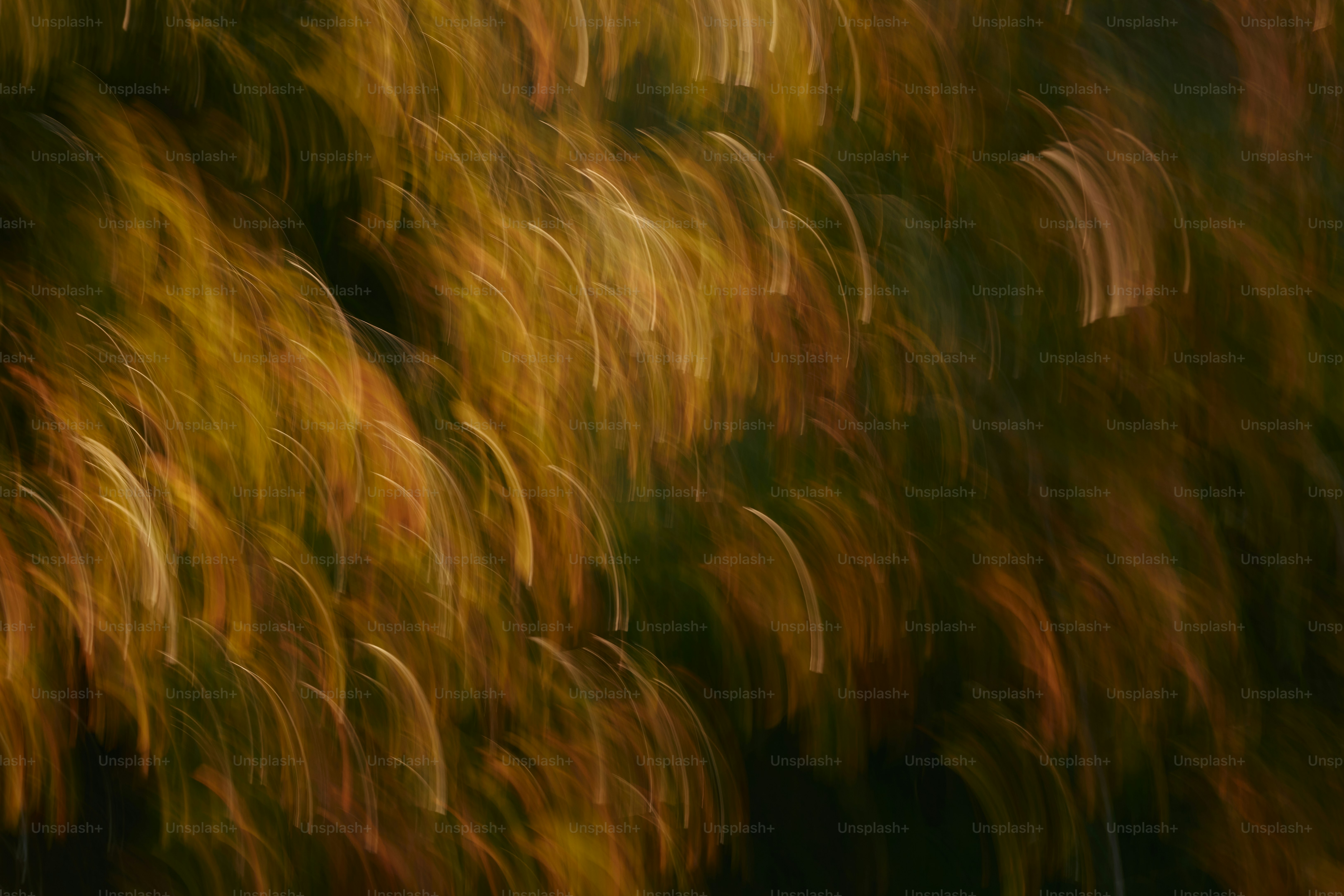 Rayas abstractas de luz dorada y verde