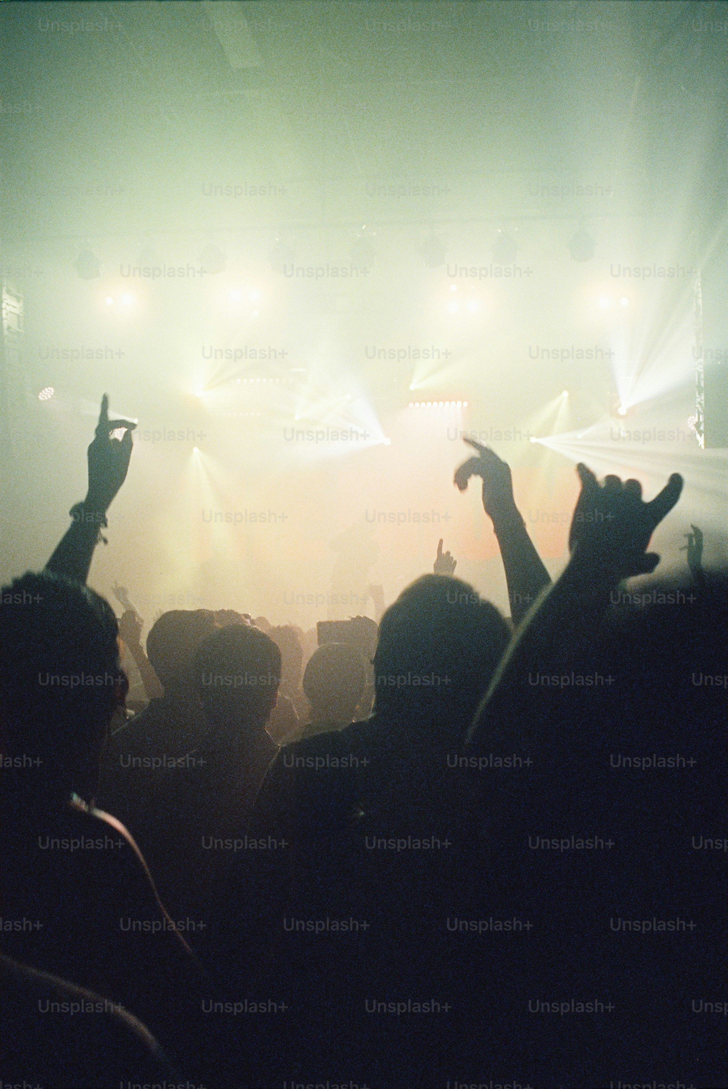 Crowd with hands raised at a concert