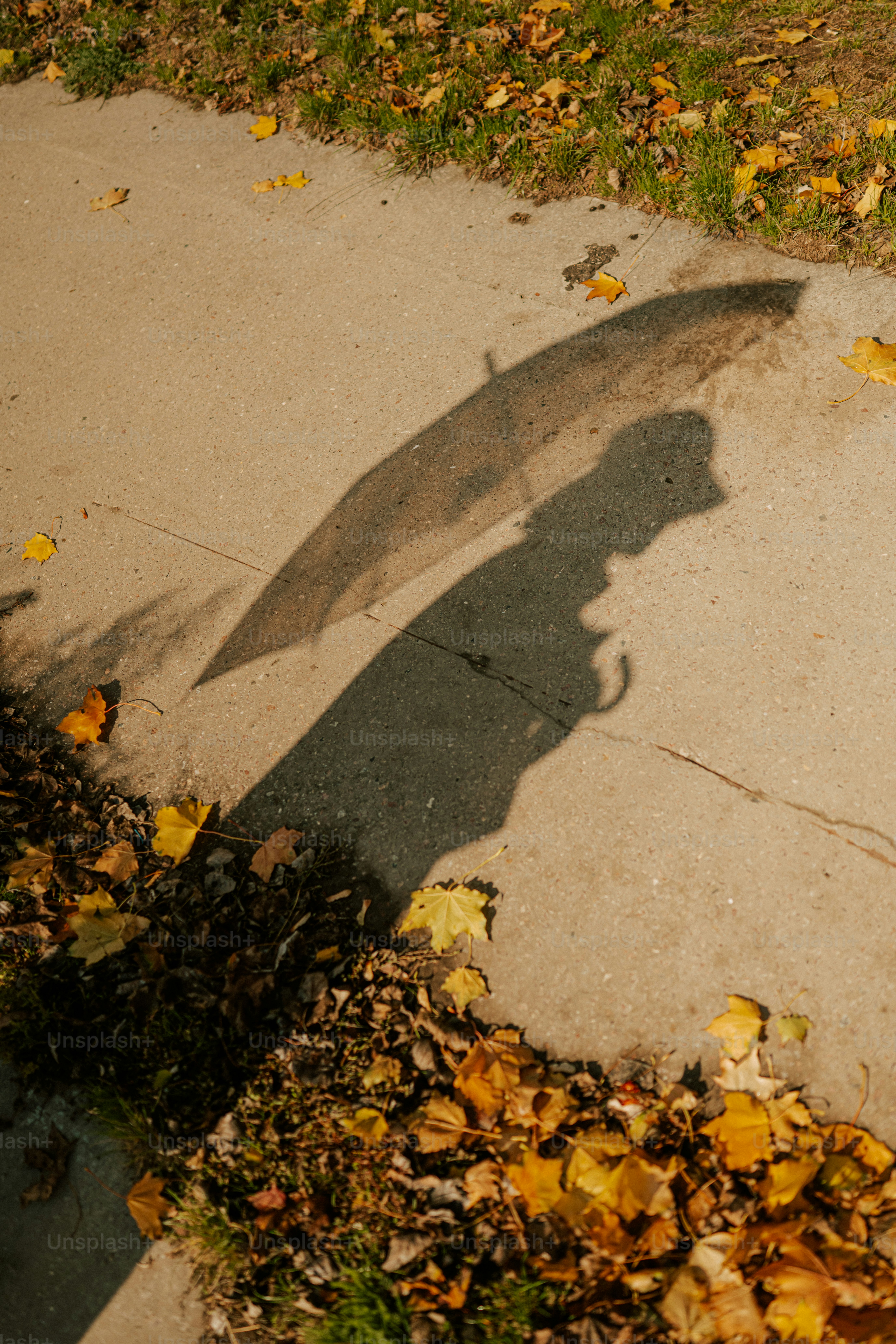 Schatten eines Regenschirms auf einem Bürgersteig mit Laub