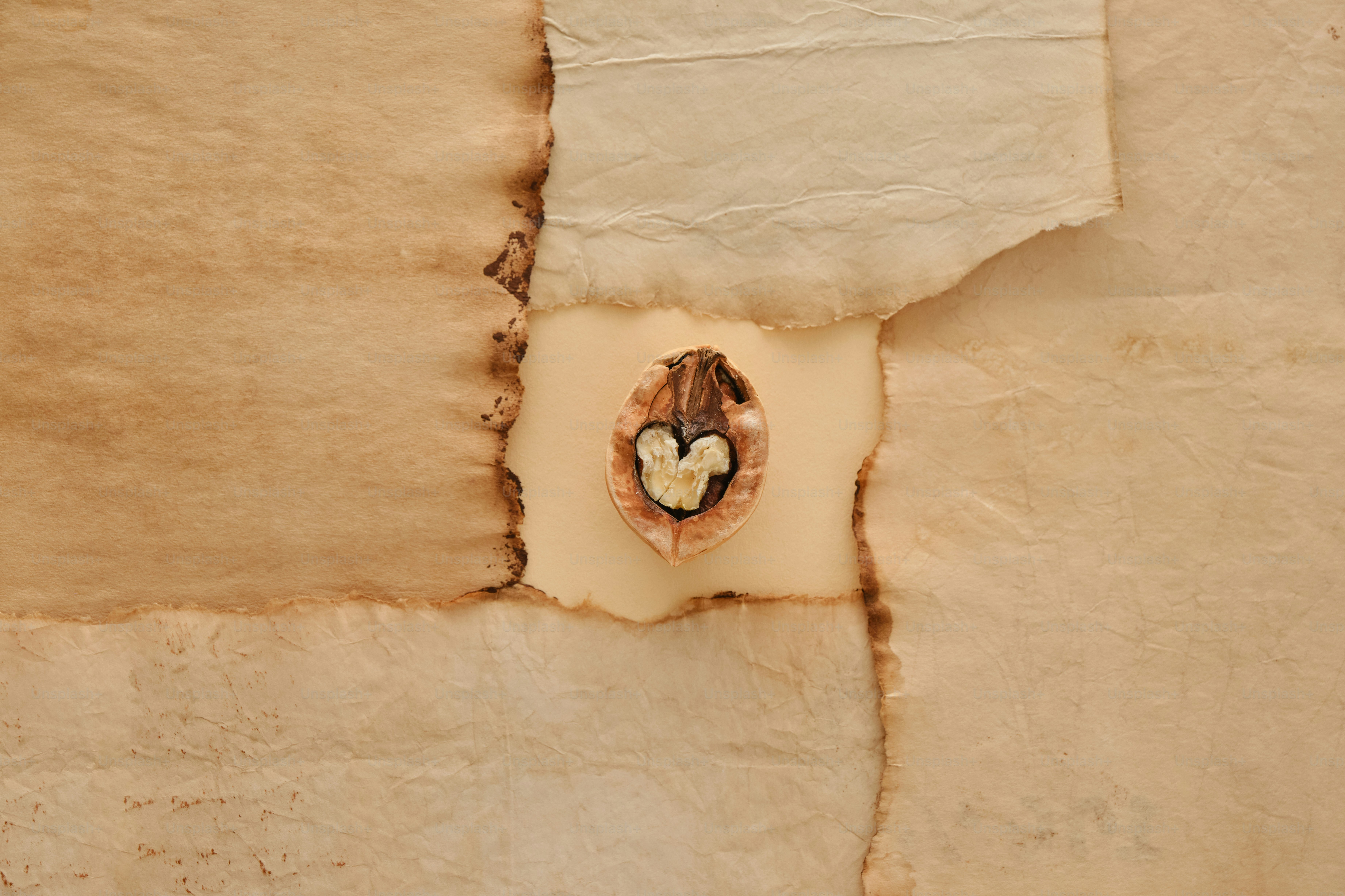 cosy autumn still life minimalistic composition with copyspace