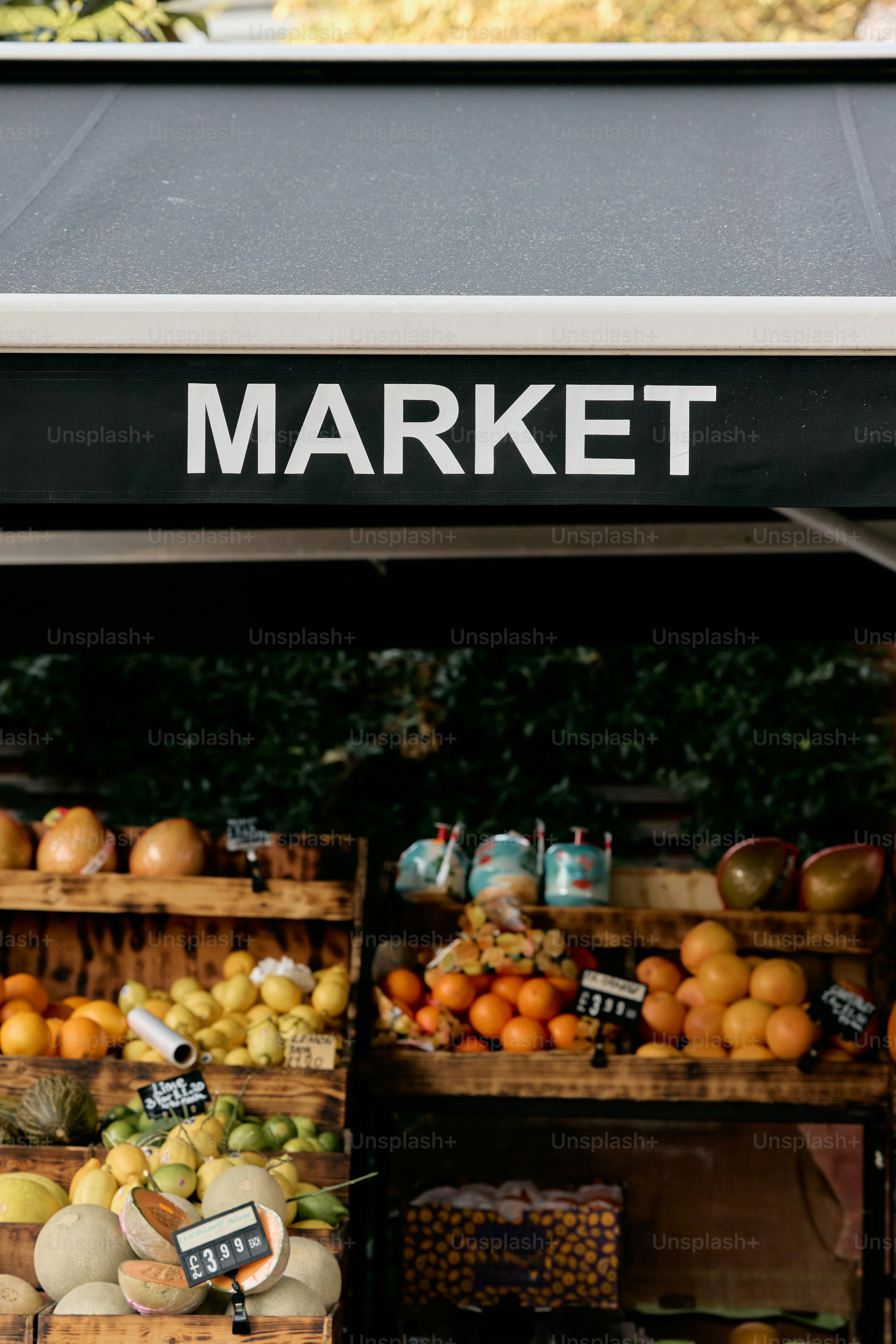 premium_photo-1760559944779-7a8fb49d754f?ixid=M3wxMjA3fDB8MXxzZWFyY2h8NXx8JUUwJUI4JTgxJUUwJUI4JUIyJUUwJUI4JUEzJUUwJUI4JTk1JUUwJUI4JUE1JUUwJUI4JUIyJUUwJUI4JTk0JUUwJUI4JUFEJUUwJUI4JUIyJUUwJUI4JUFCJUUwJUI4JUIyJUUwJUI4JUEzJUUwJUI5JTgwJUUwJUI4JUFBJUUwJUI4JUEzJUUwJUI4JUI0JUUwJUI4JUExfGVufDB8fHx8MTc2NjI2NjM5OXww\u0026ixlib=rb-4.1.0