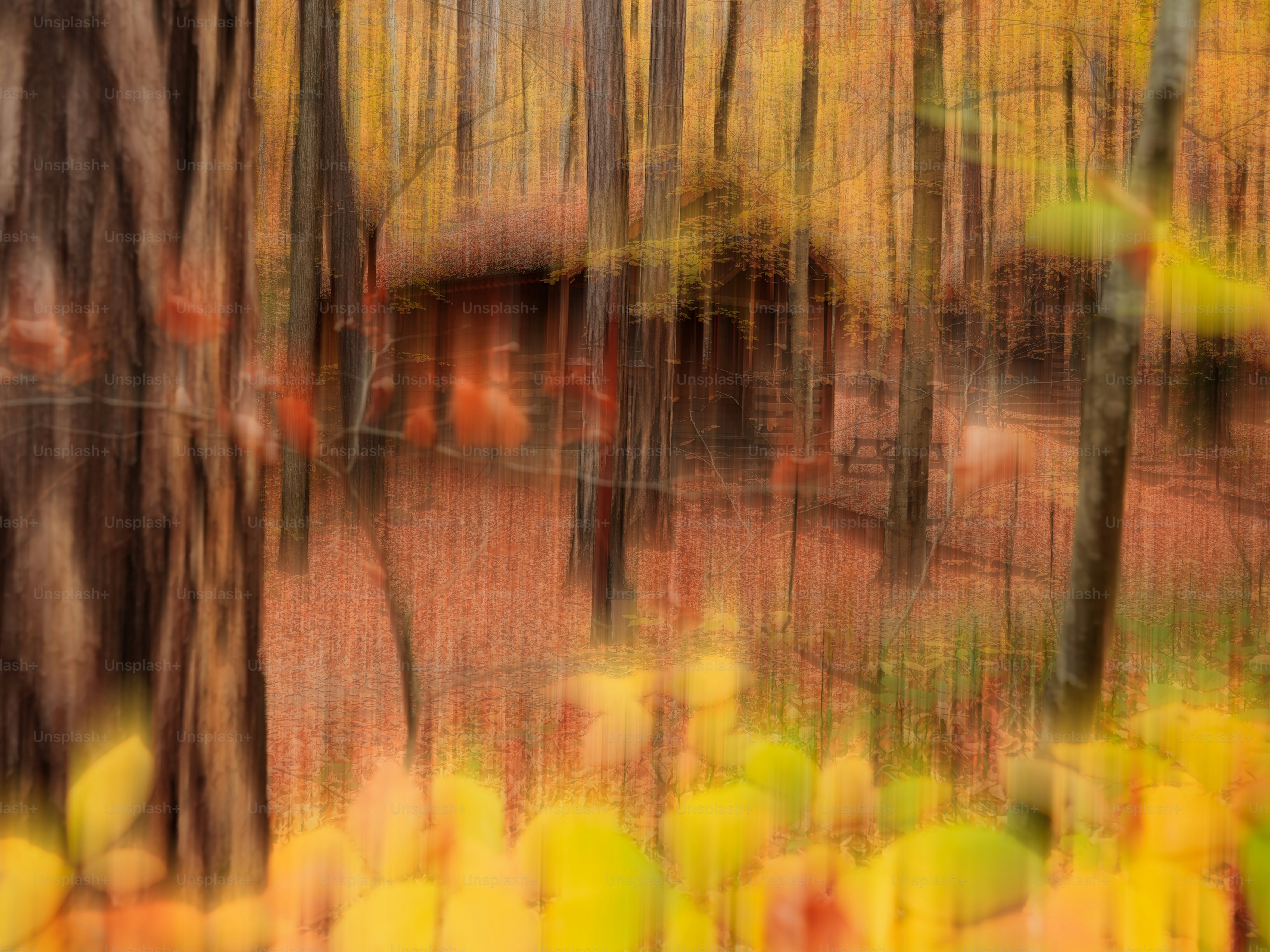 Verschwommener Herbstwald mit einer Hütte im Hintergrund