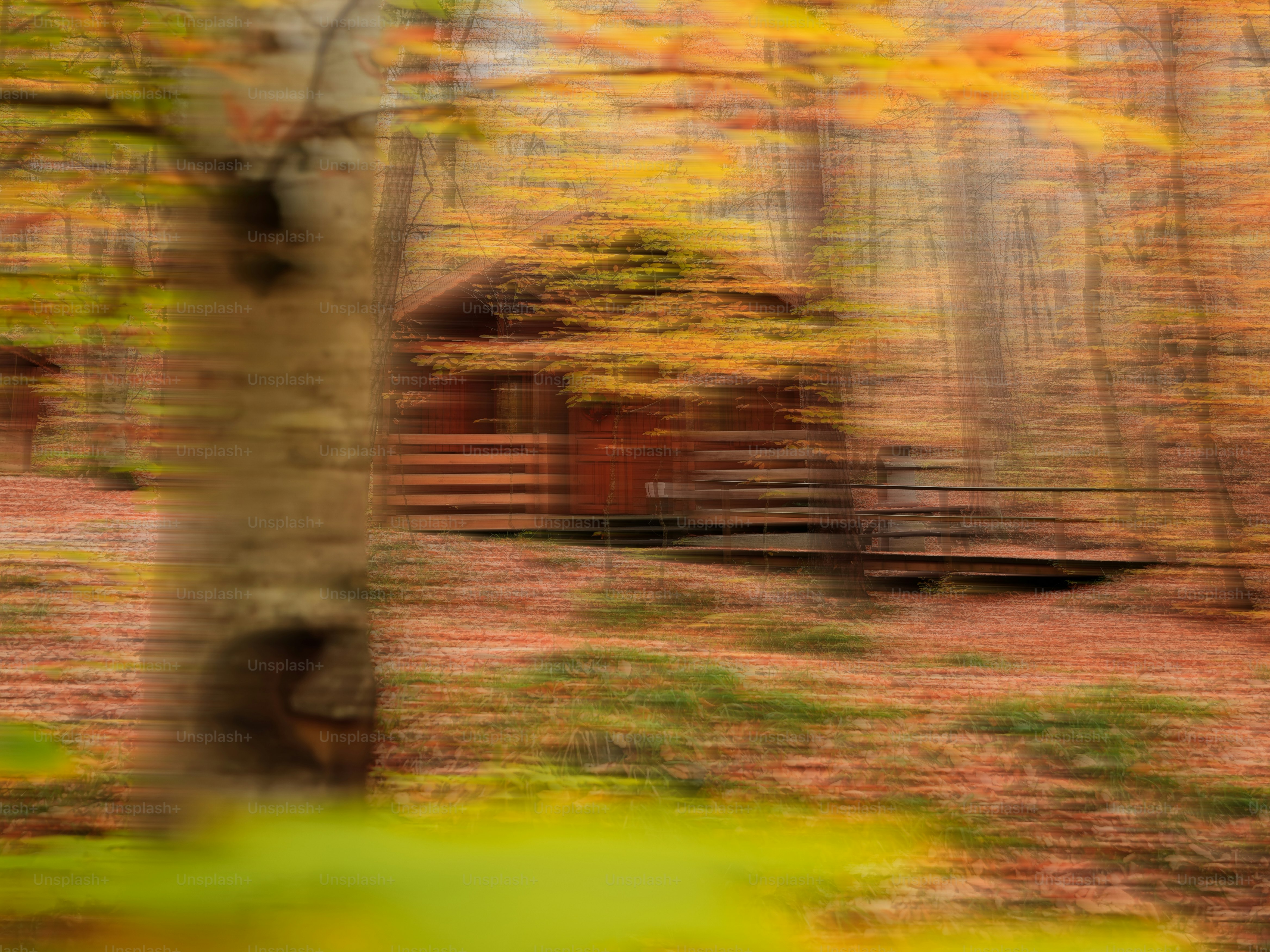Verschwommene Hütte im Herbstwald mit bunten Blättern.