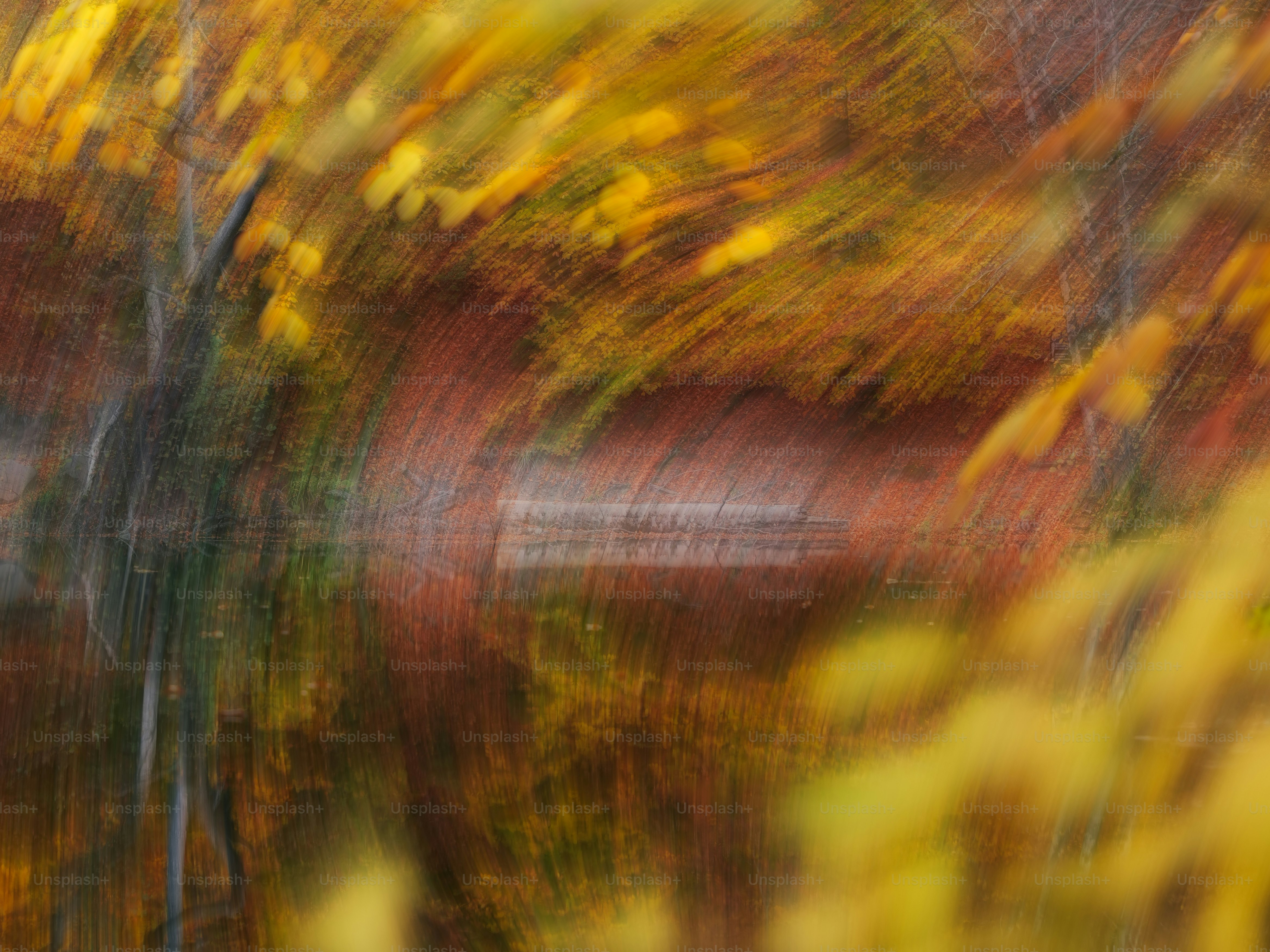 Abstrakte Herbstblätter, die sich im Wasser spiegeln