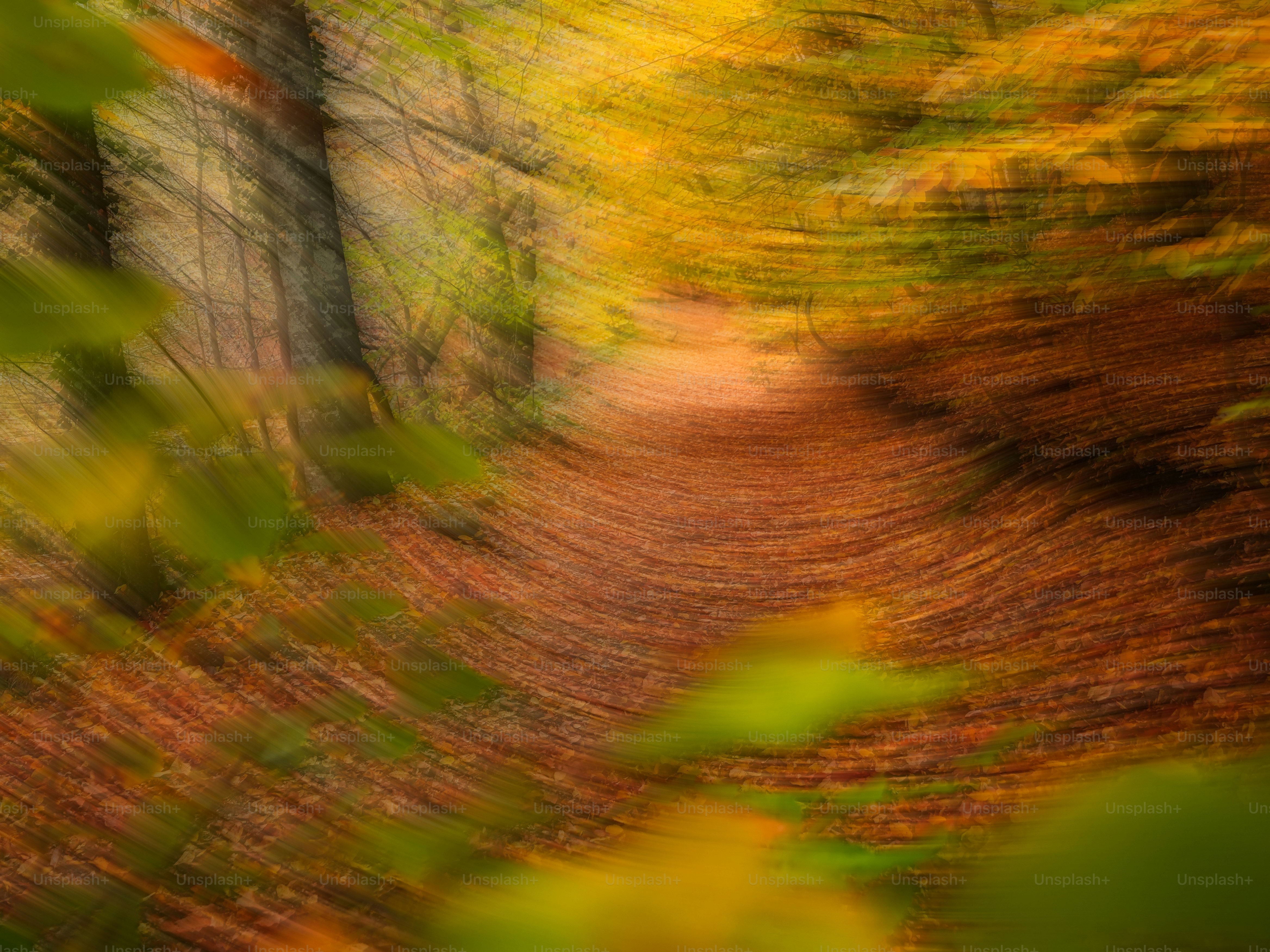 Abstrakter herbstlicher Waldweg mit wirbelnden Blättern