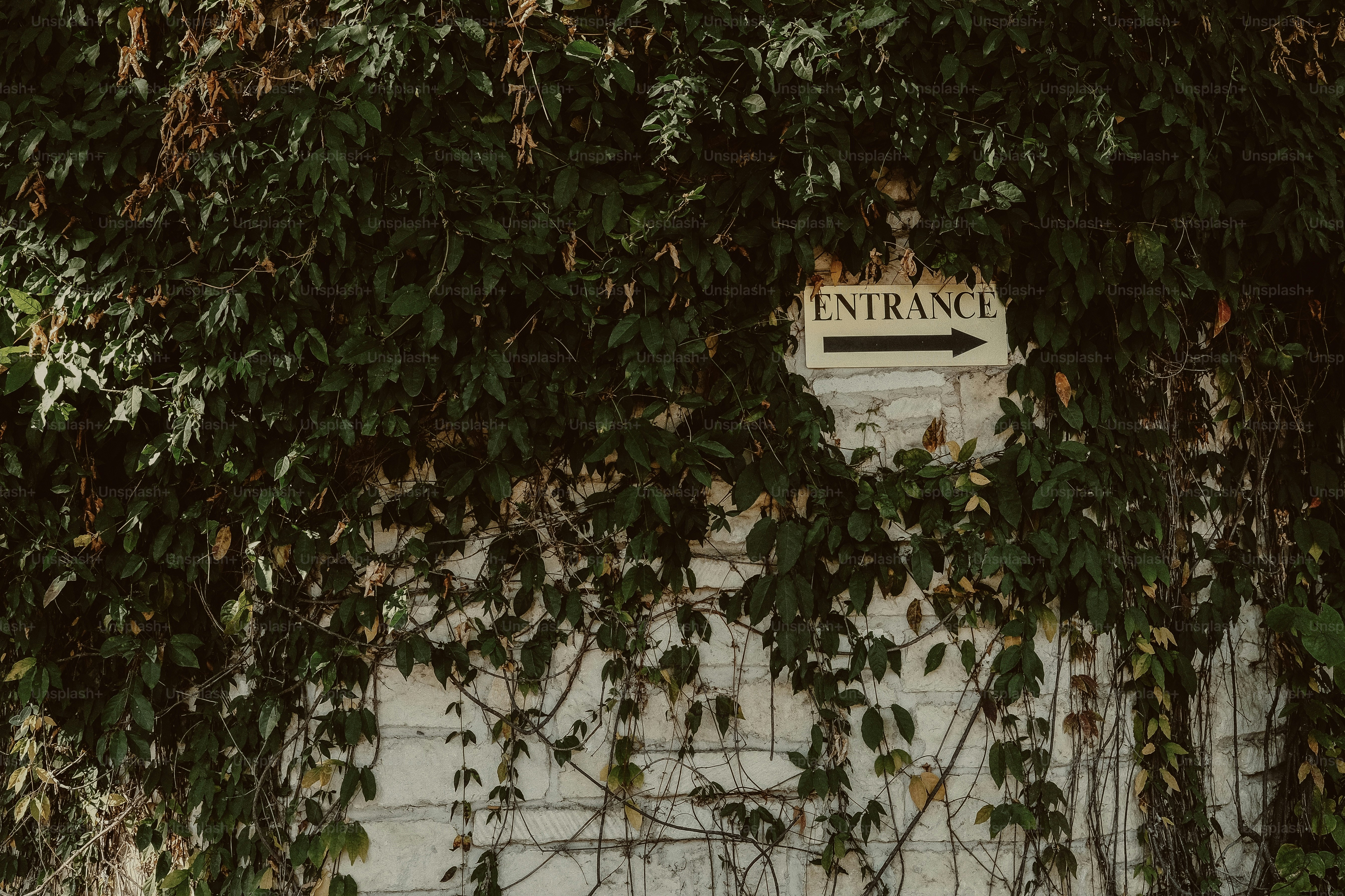 Entrance sign hidden by overgrown green foliage