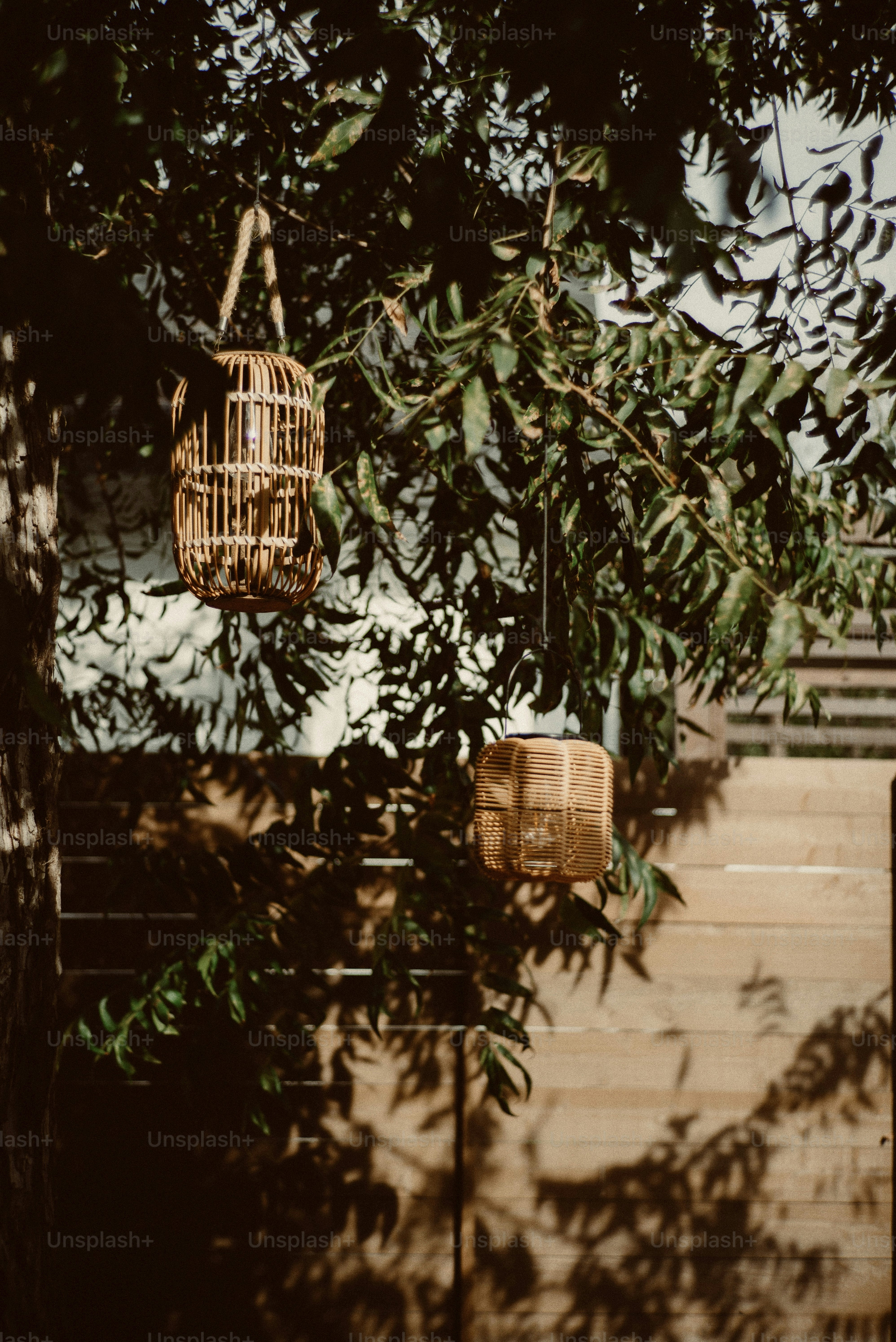 Two wicker lanterns hanging from a tree branch.