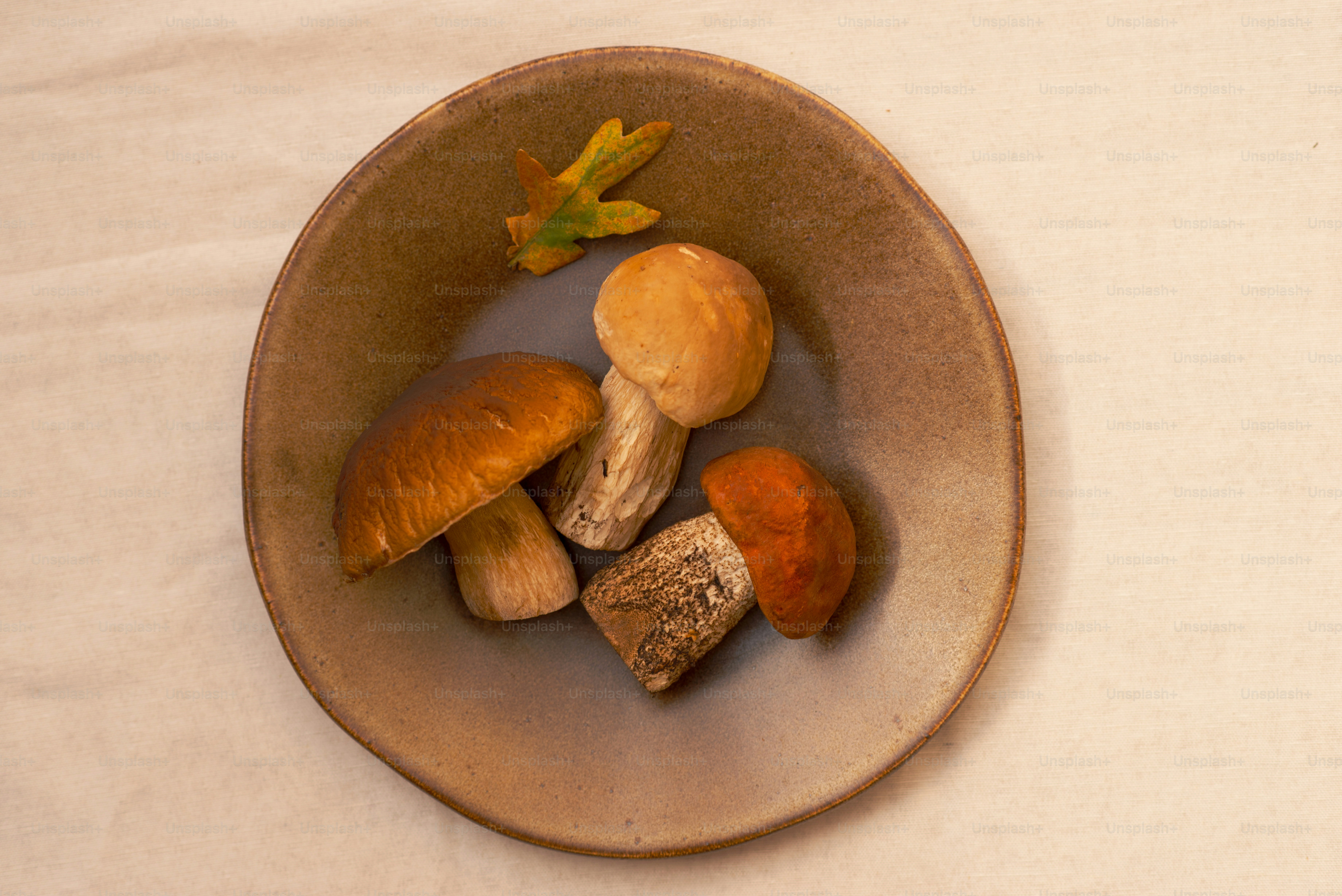 Vier Champignons in einer rustikalen Schüssel mit Blatt