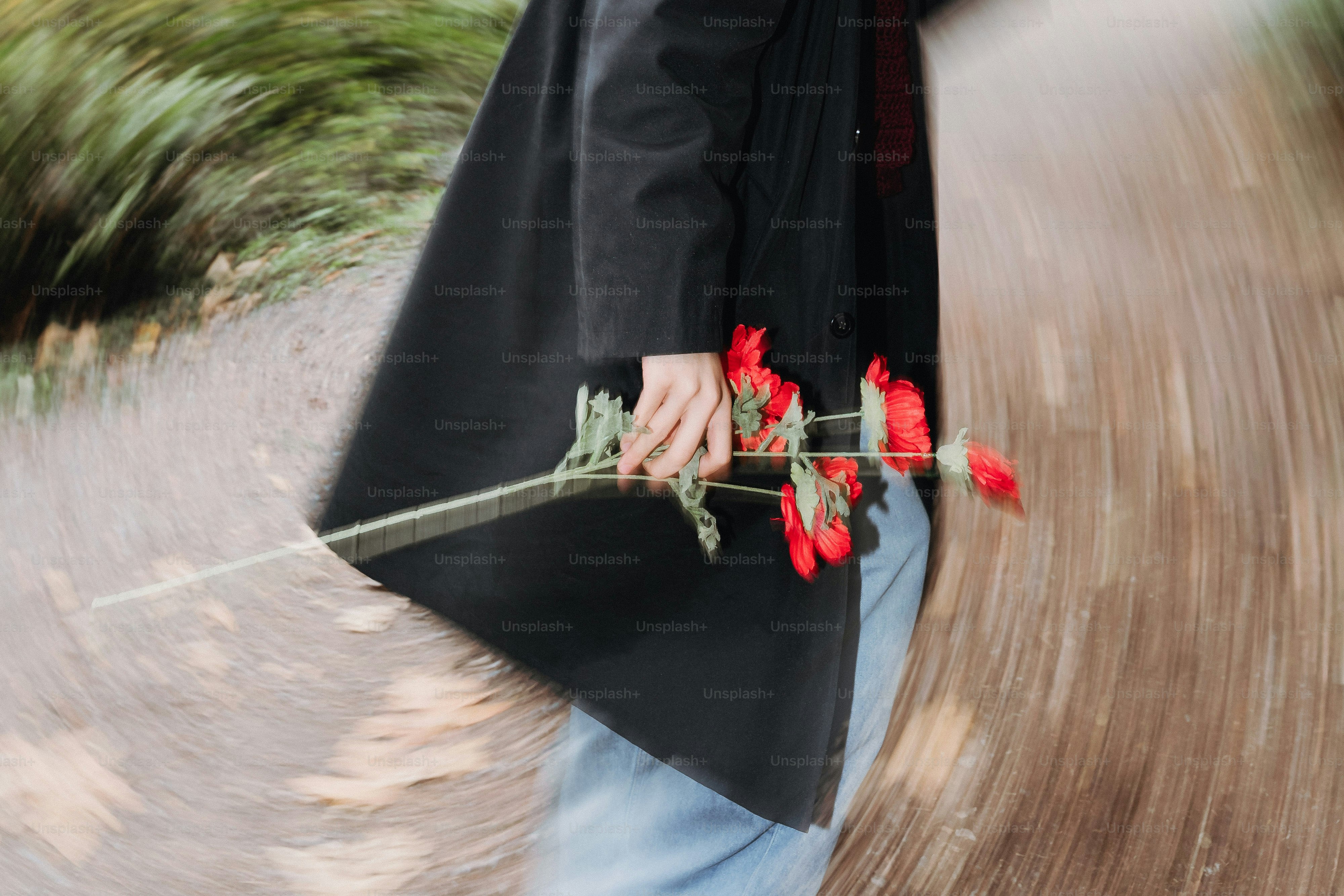 Person holding red roses on a path