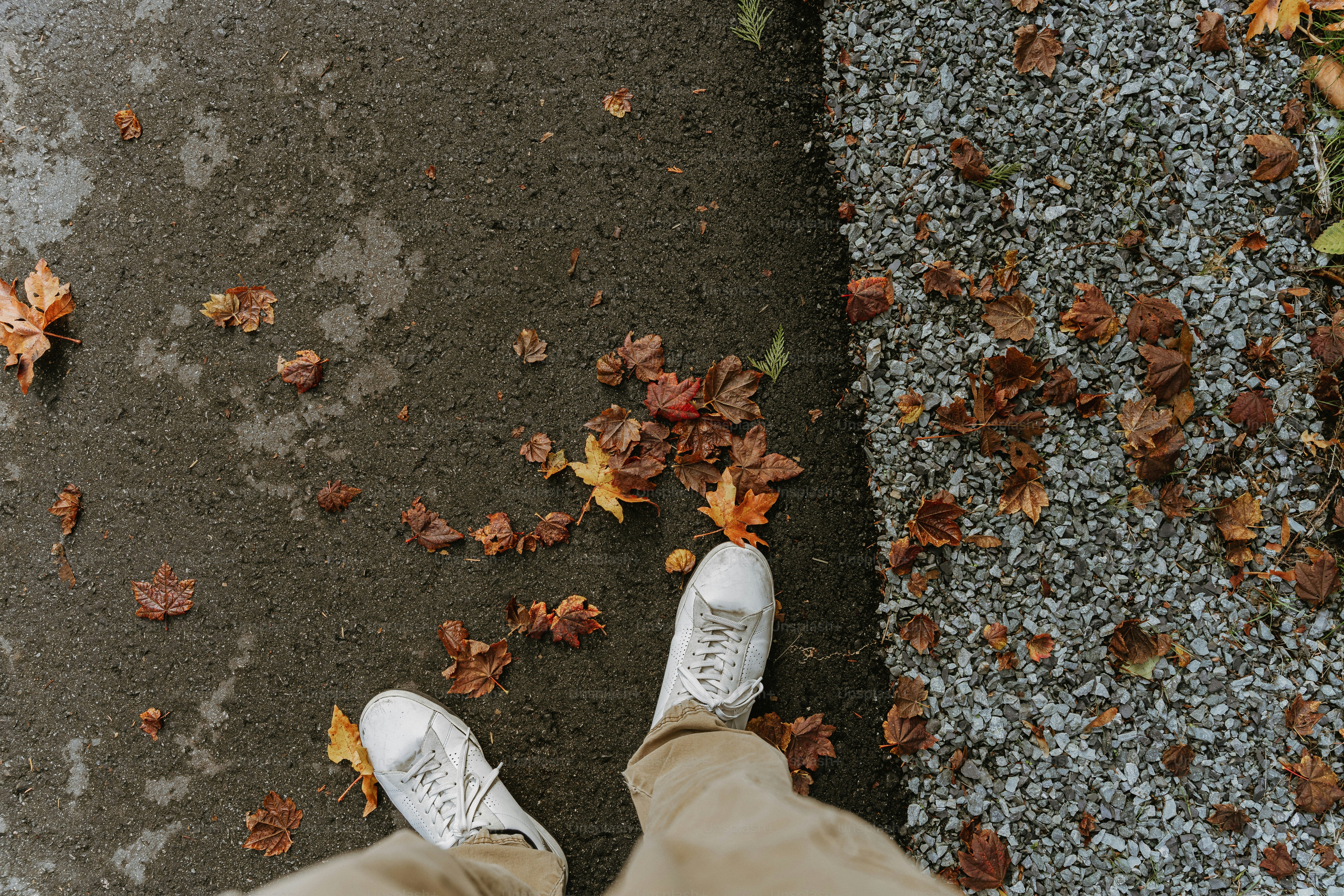 Herbstlaub verstreut auf nassem Pflaster in der Nähe des Schotterweges.