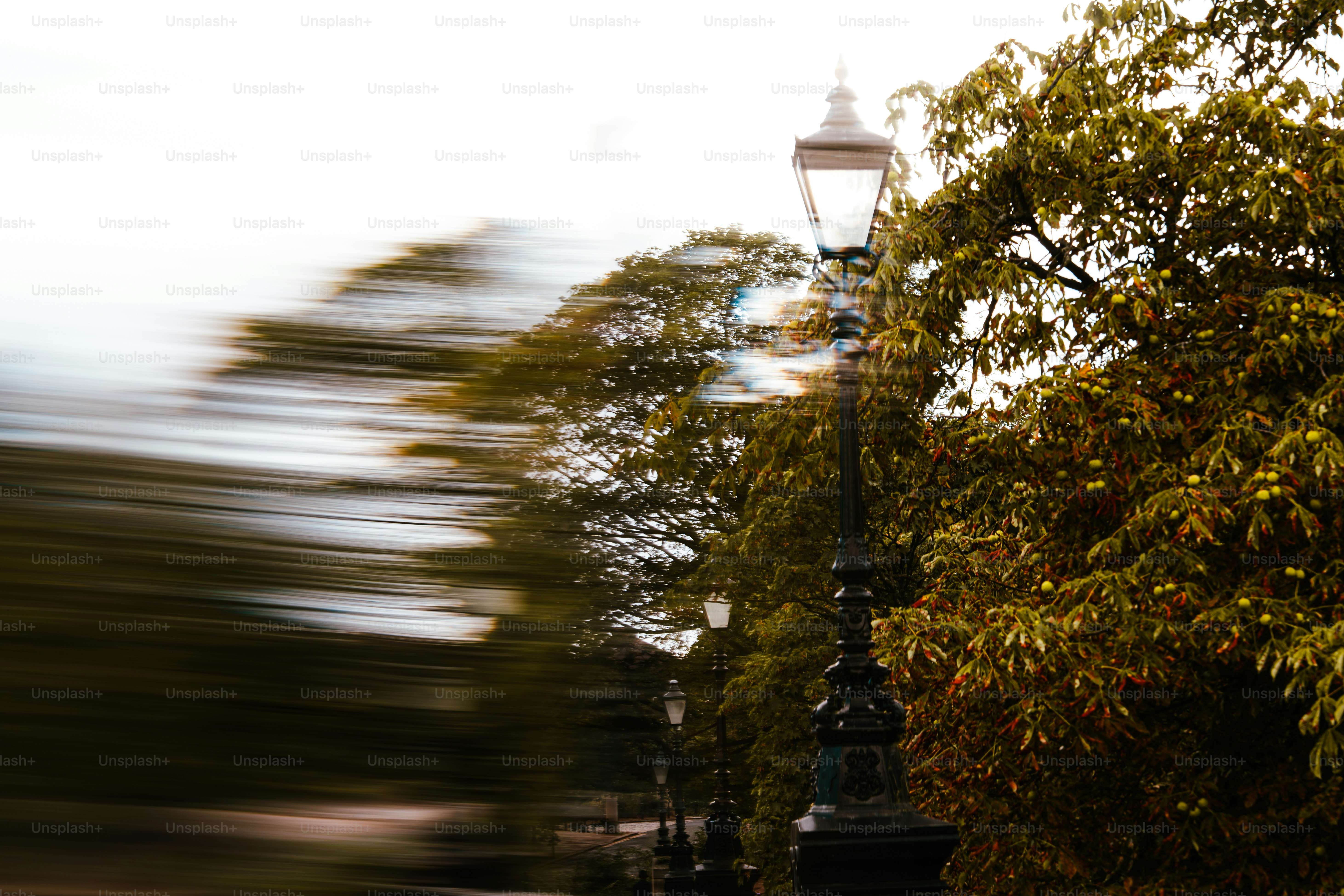 Street lamp amidst blurred trees and sky