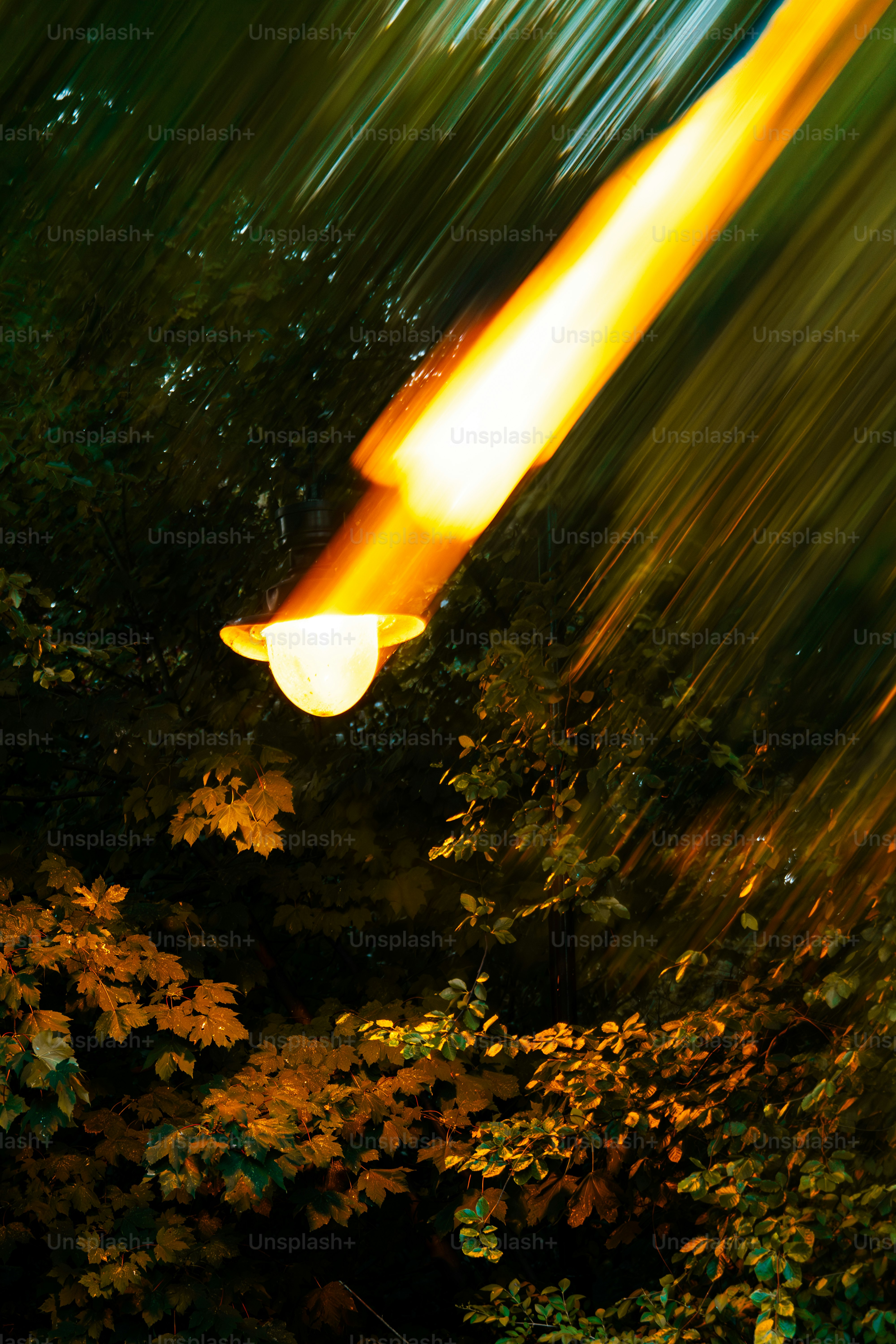 Streetlight illuminates trees with motion blur