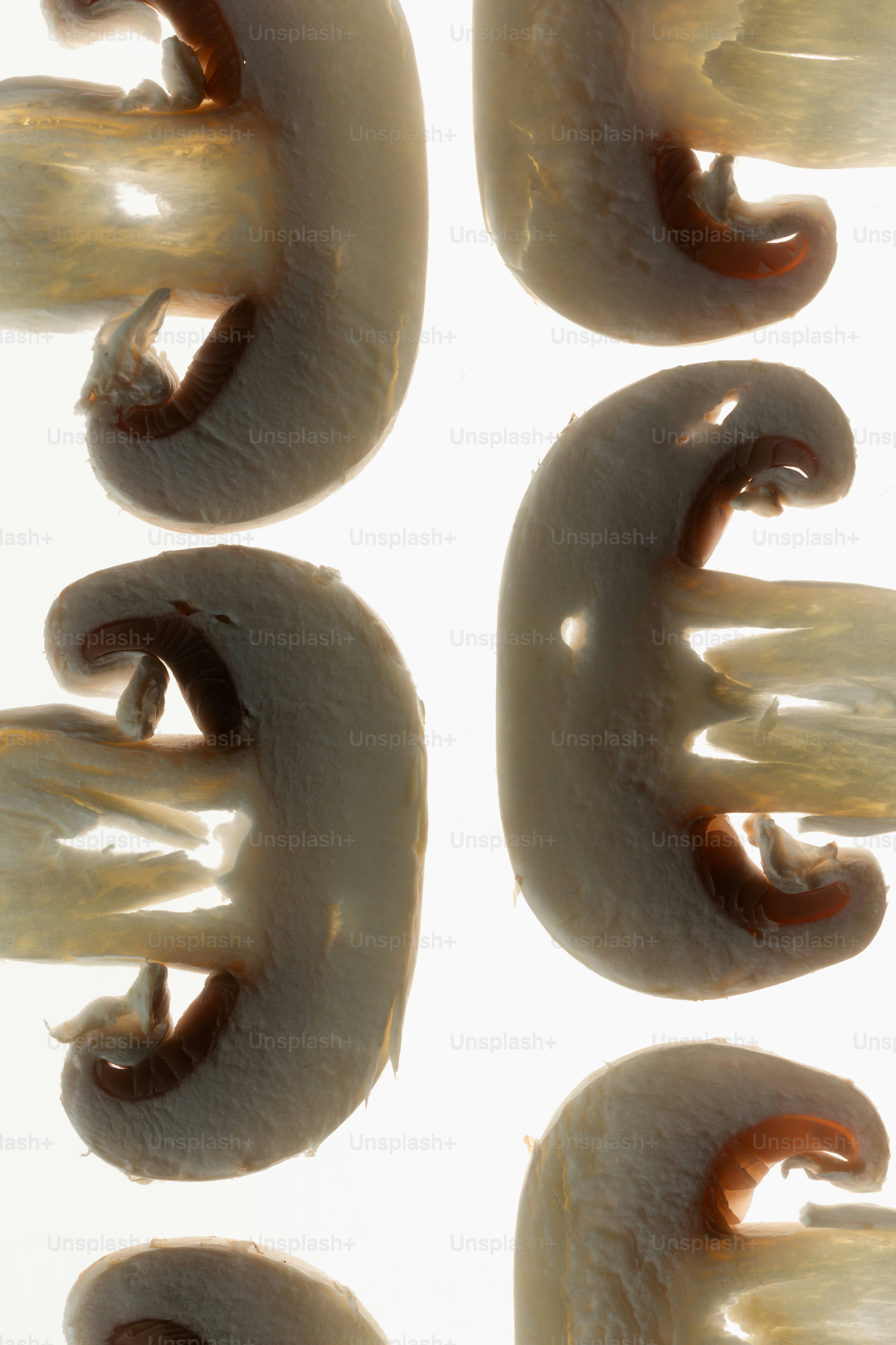 Sliced mushrooms against a bright background.