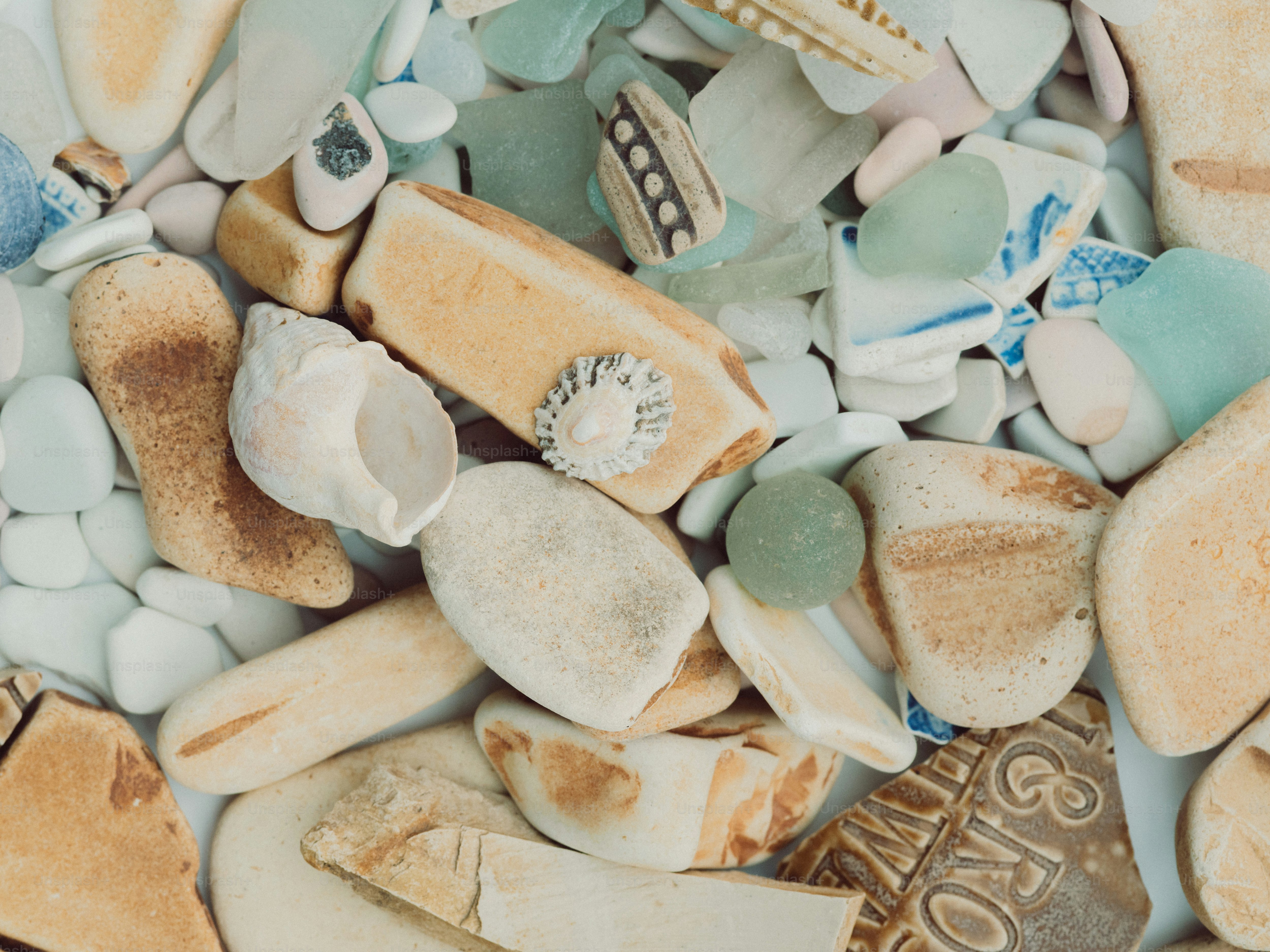 Vidrio de playa variado, conchas y fragmentos de cerámica.