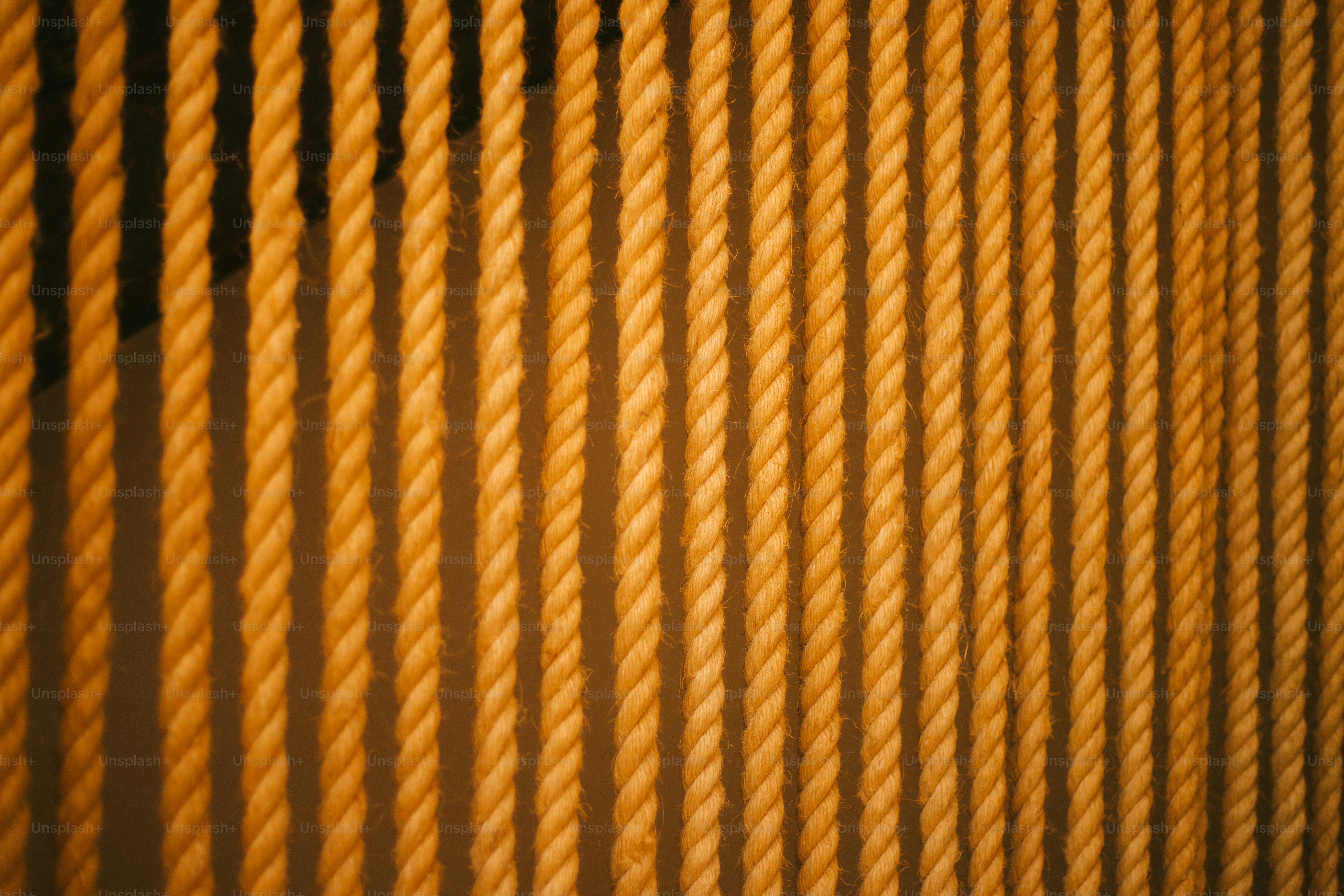 Close-up of parallel ropes with warm lighting photo – Background Image ...