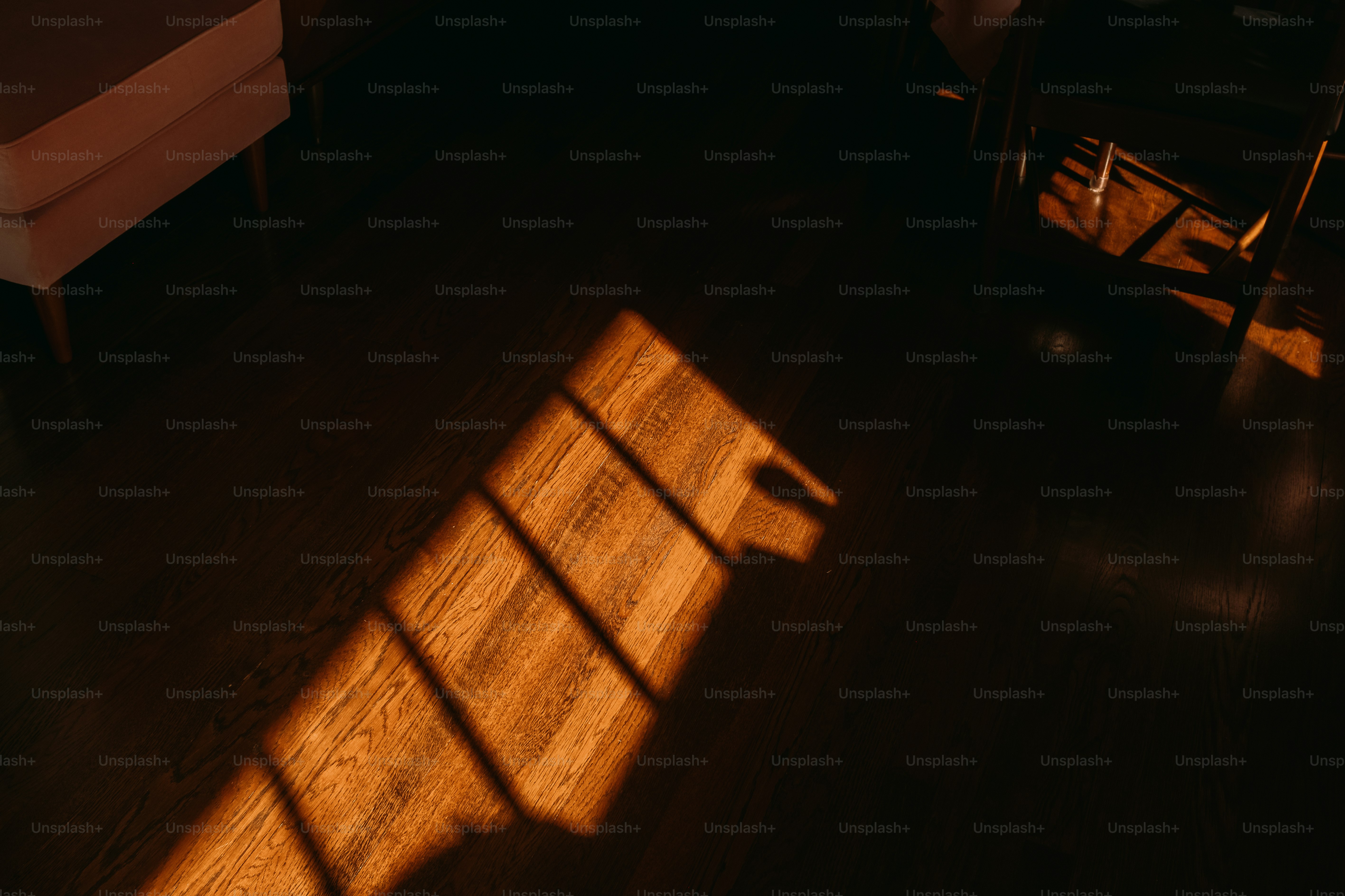 Sunlight casts diagonal shadows across a wooden floor.