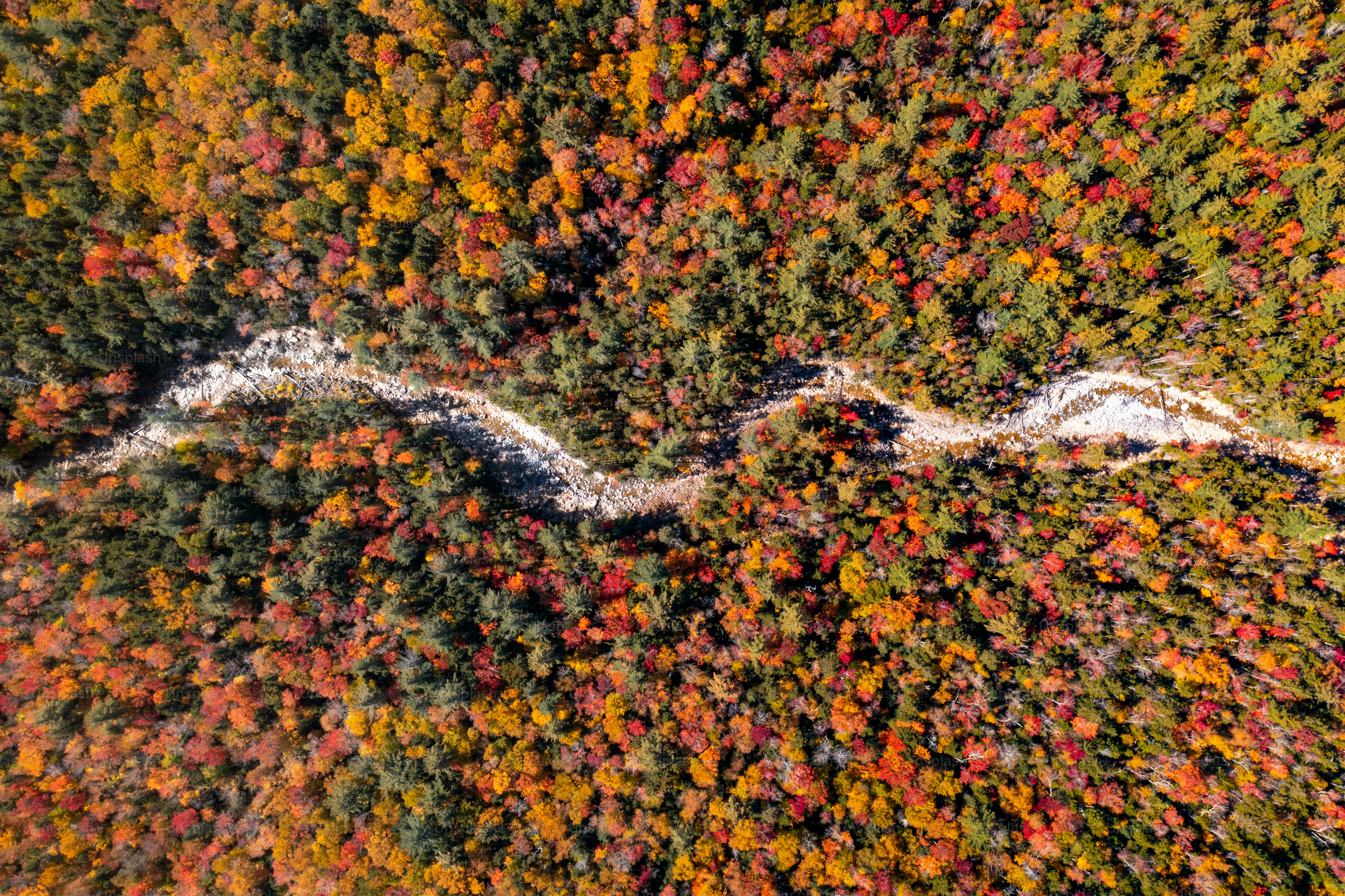 Vista aérea de un río sinuoso a través del bosque otoñal