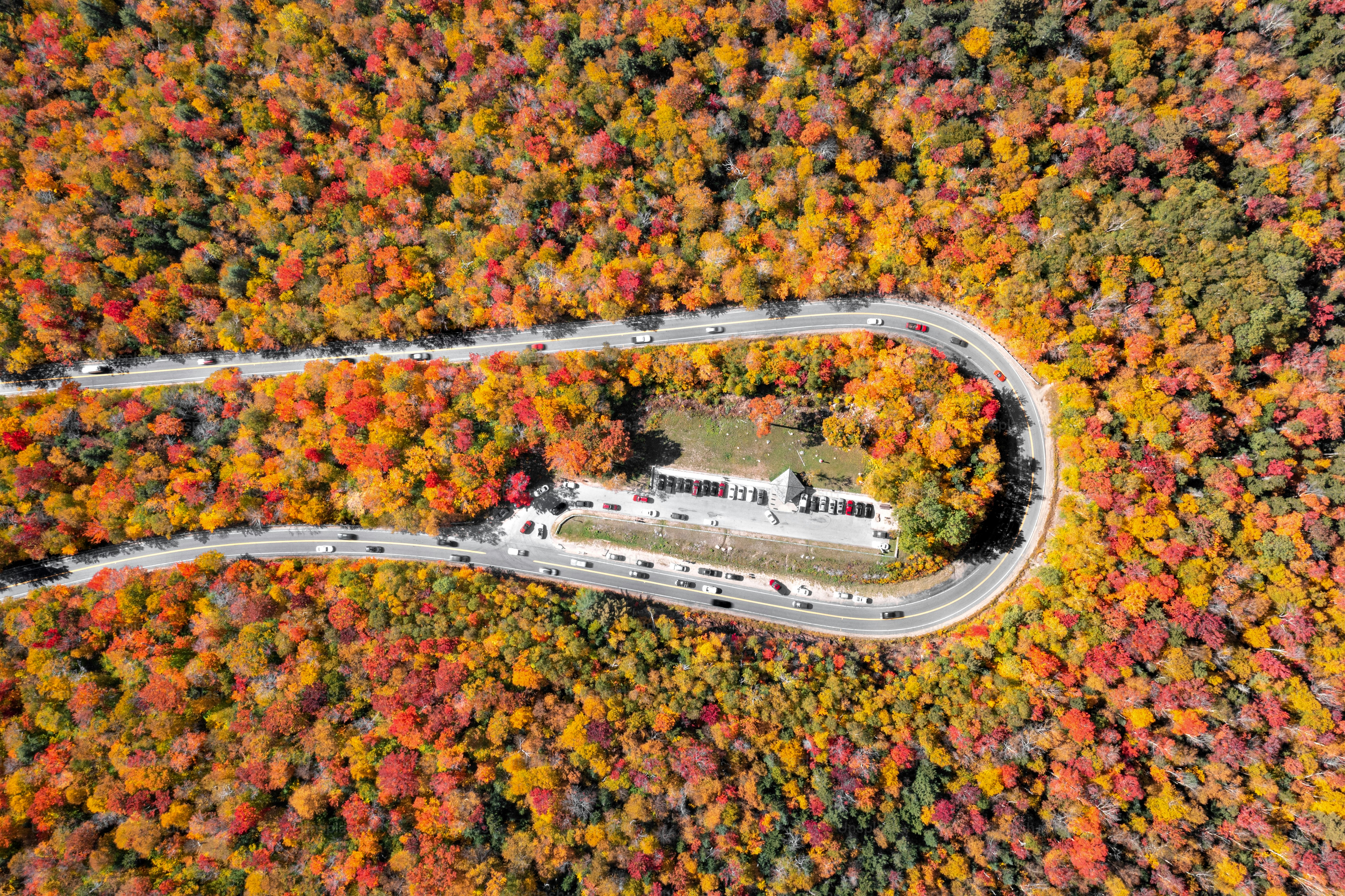Carretera curva a través de un vibrante bosque otoñal desde arriba