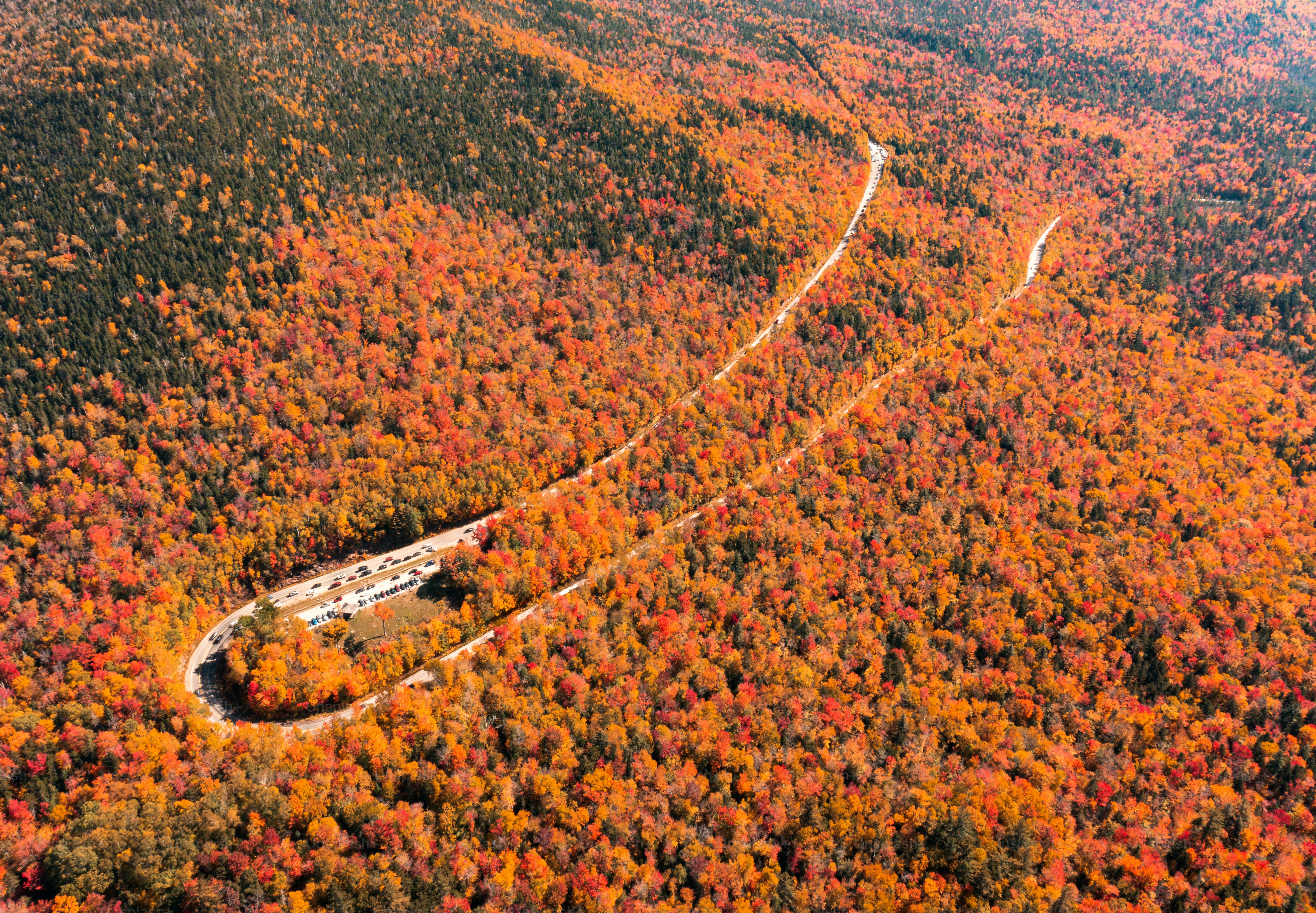 Carretera curva a través del vibrante dosel del bosque otoñal