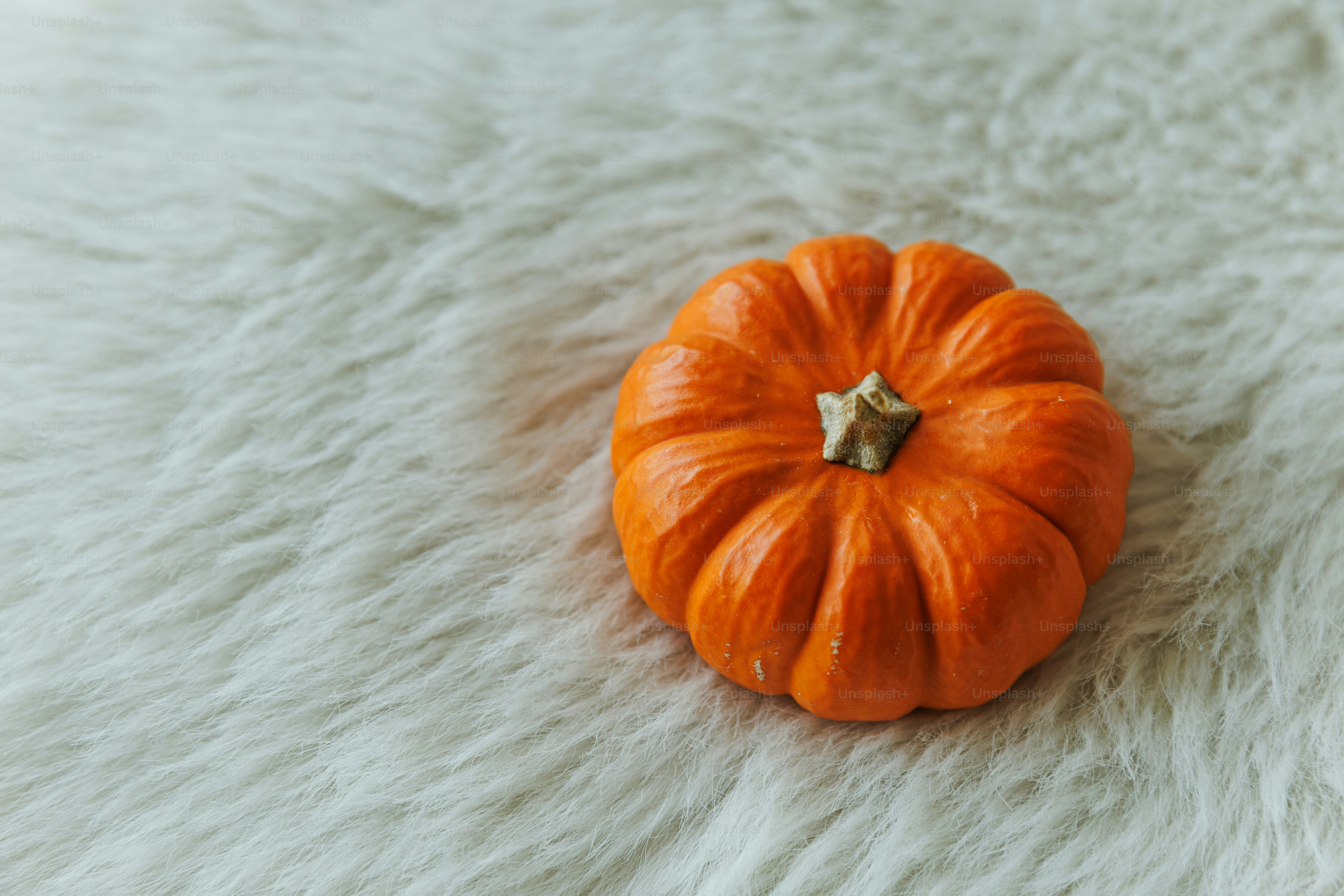 A small orange pumpkin on a white fluffy surface.