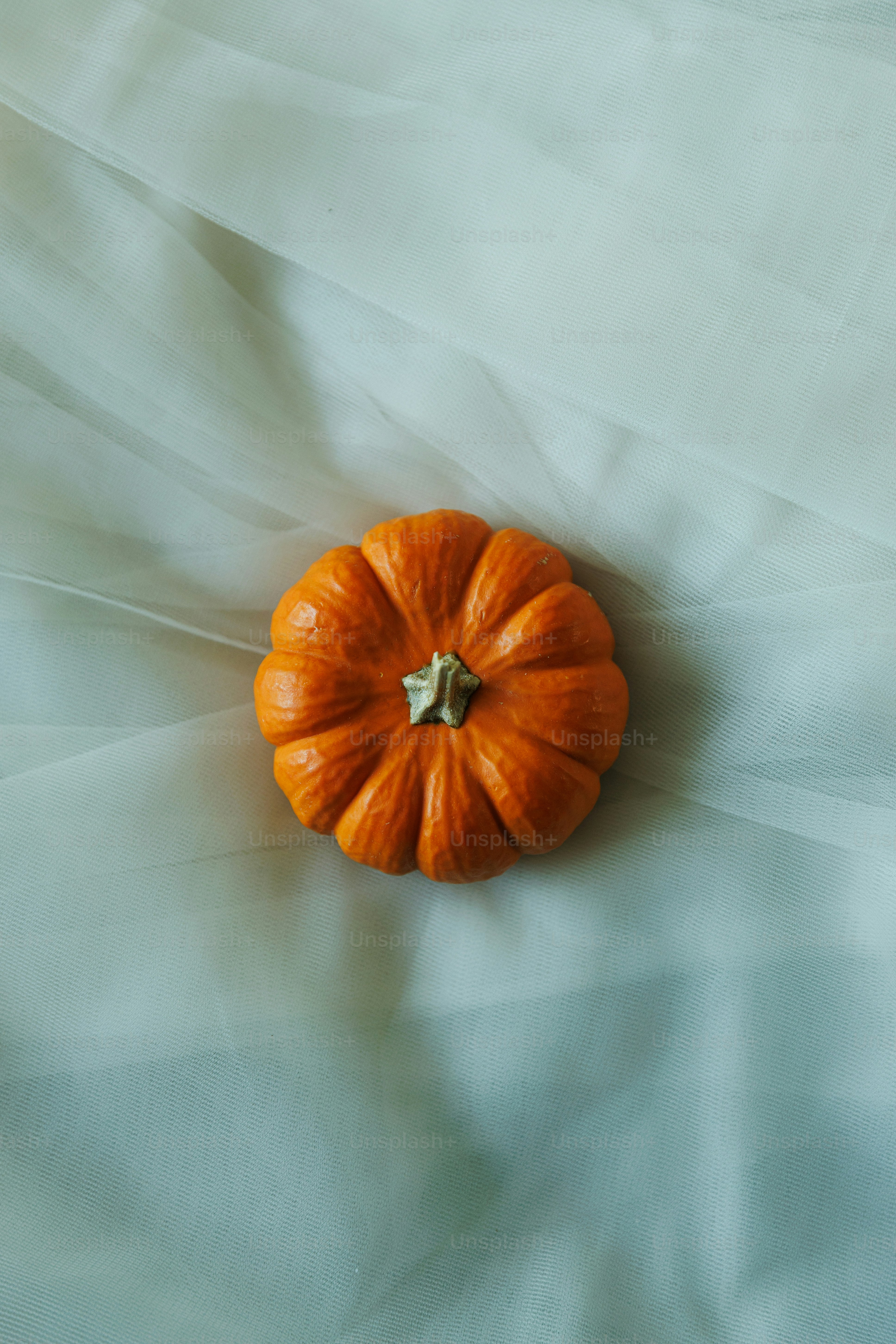 A single small orange pumpkin on white fabric