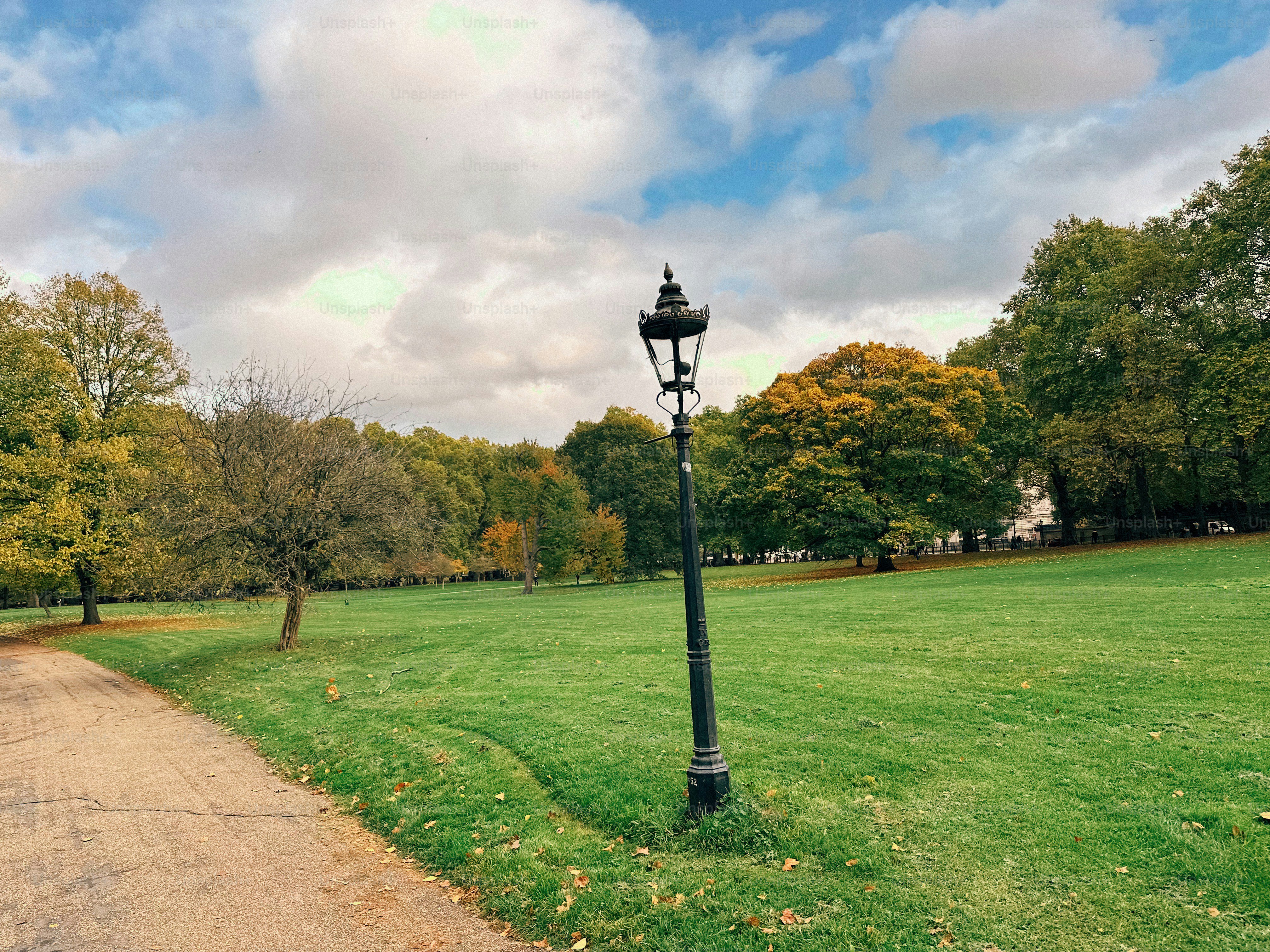 A park path with a lamppost and autumn trees