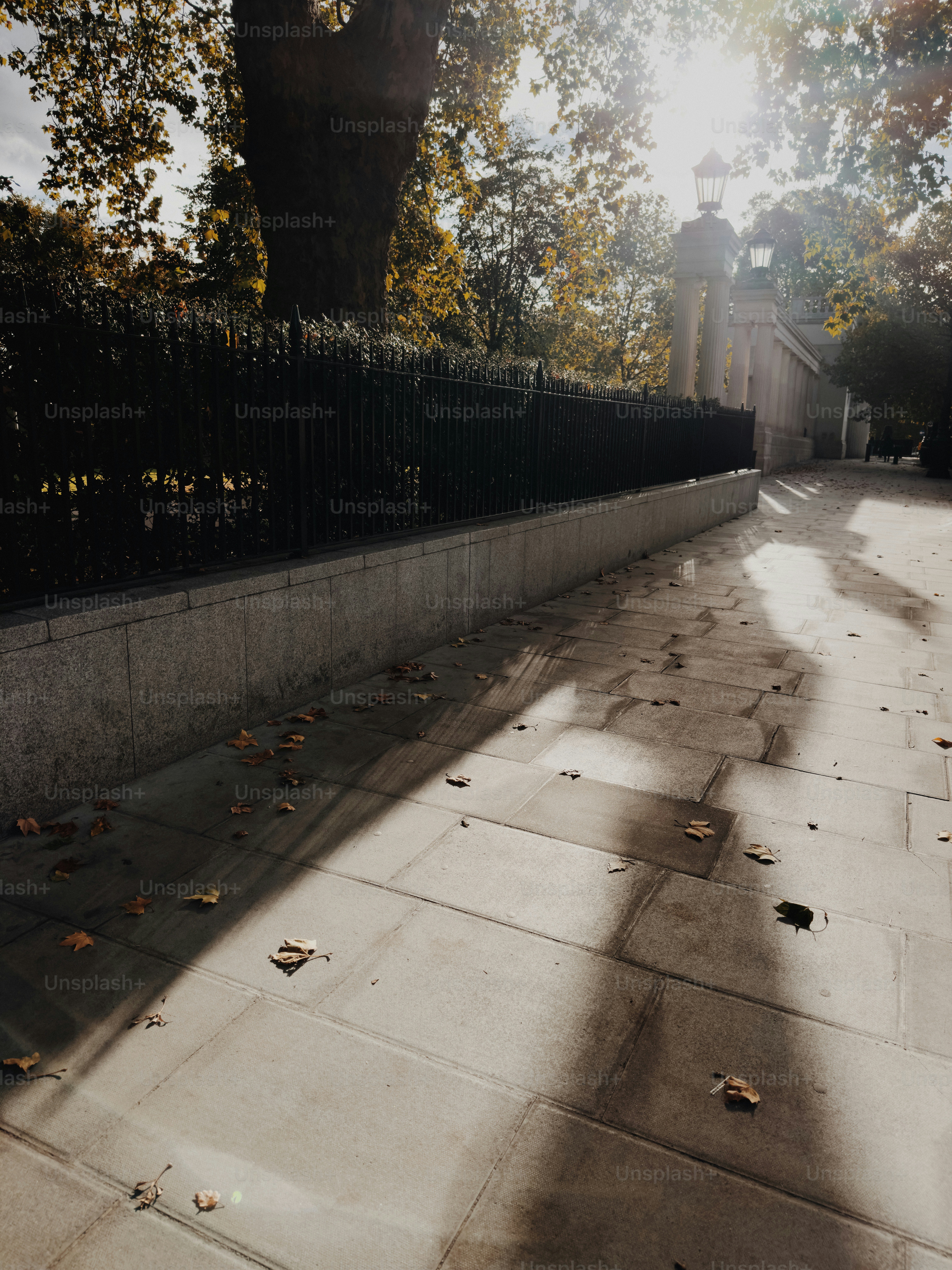 Sunlight streams through autumn trees onto a stone path. photo – London ...