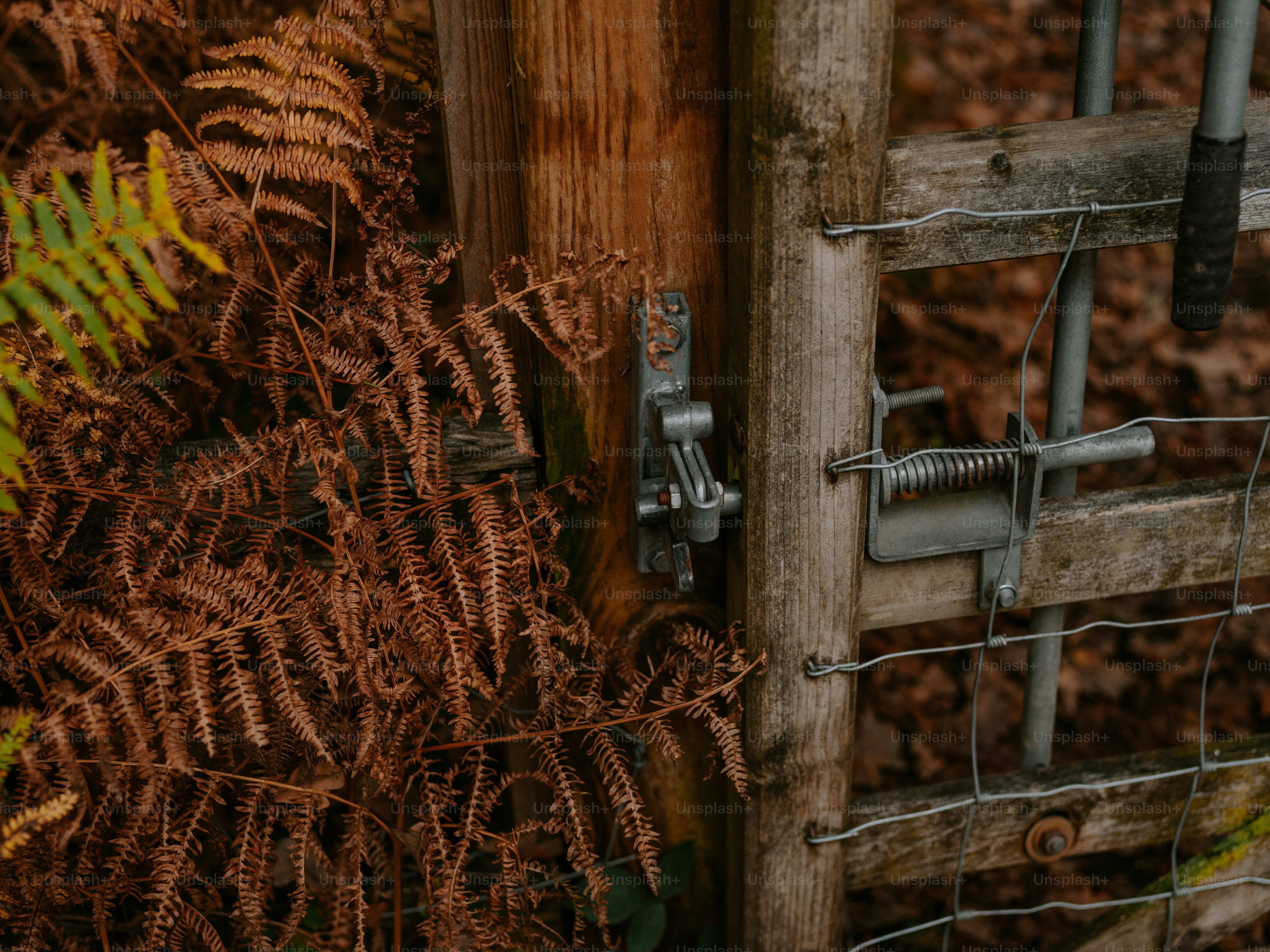Wooden gate with metal latch and wire mesh