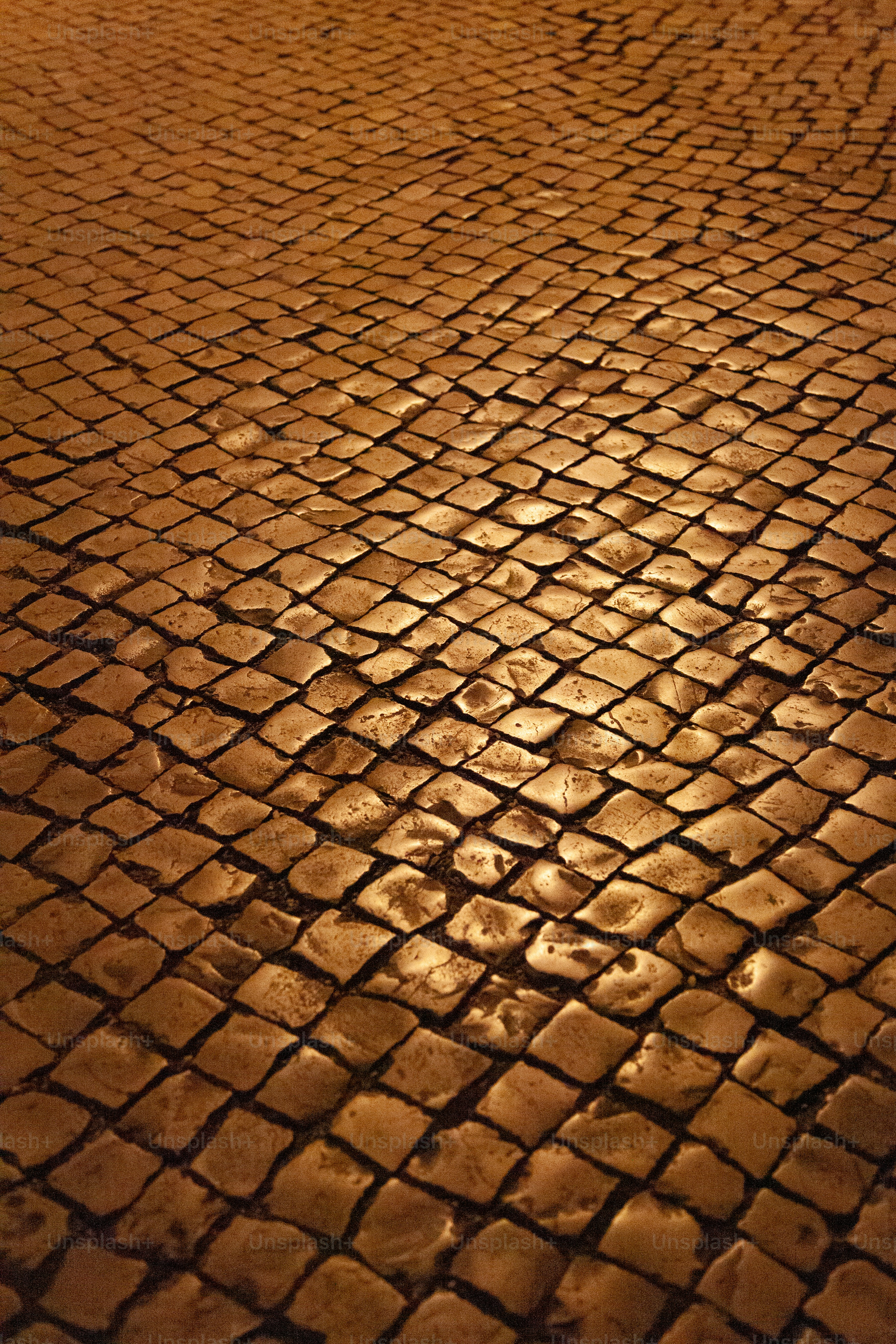 Cobblestone street illuminated by warm light at night