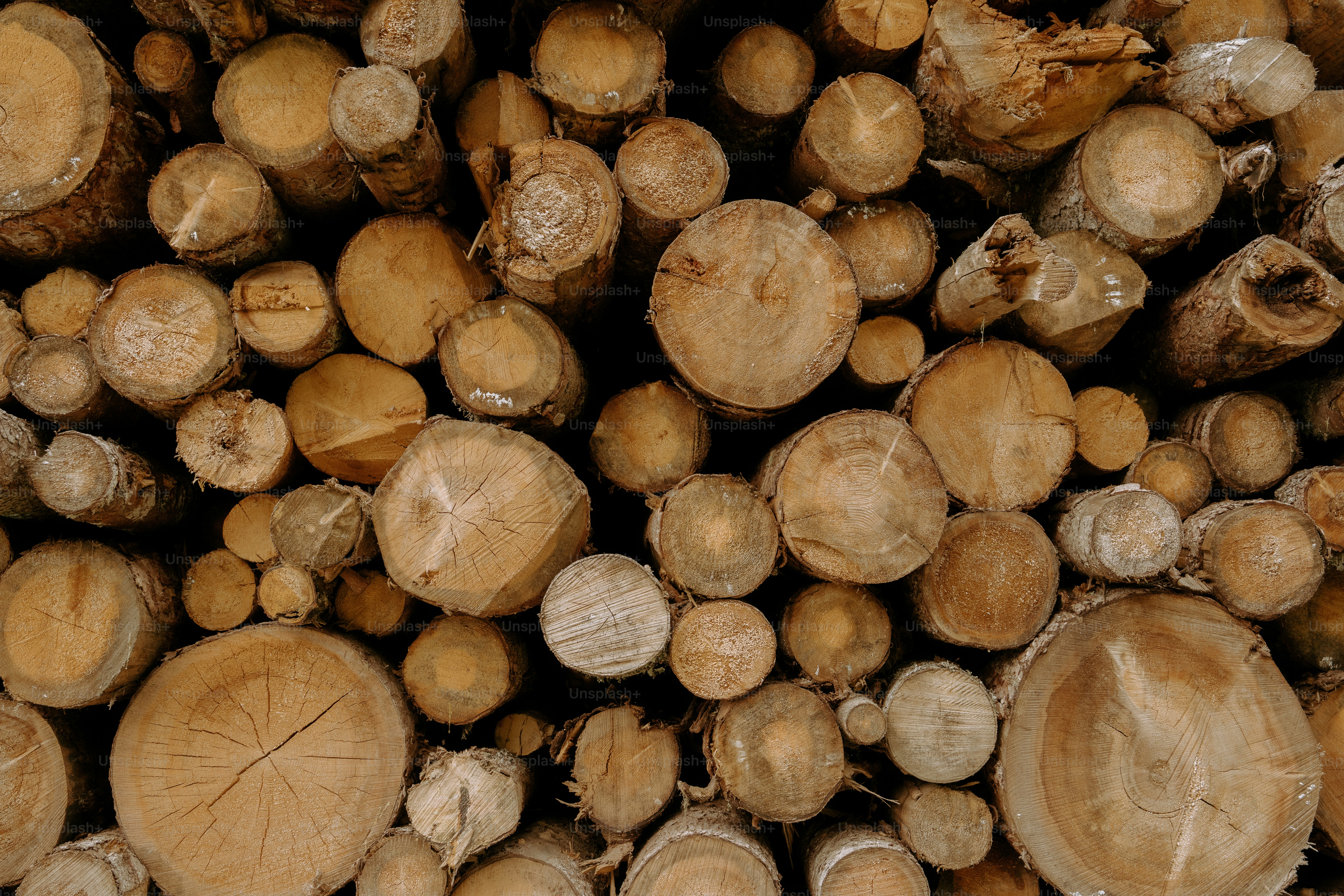 A pile of cut logs stacked together