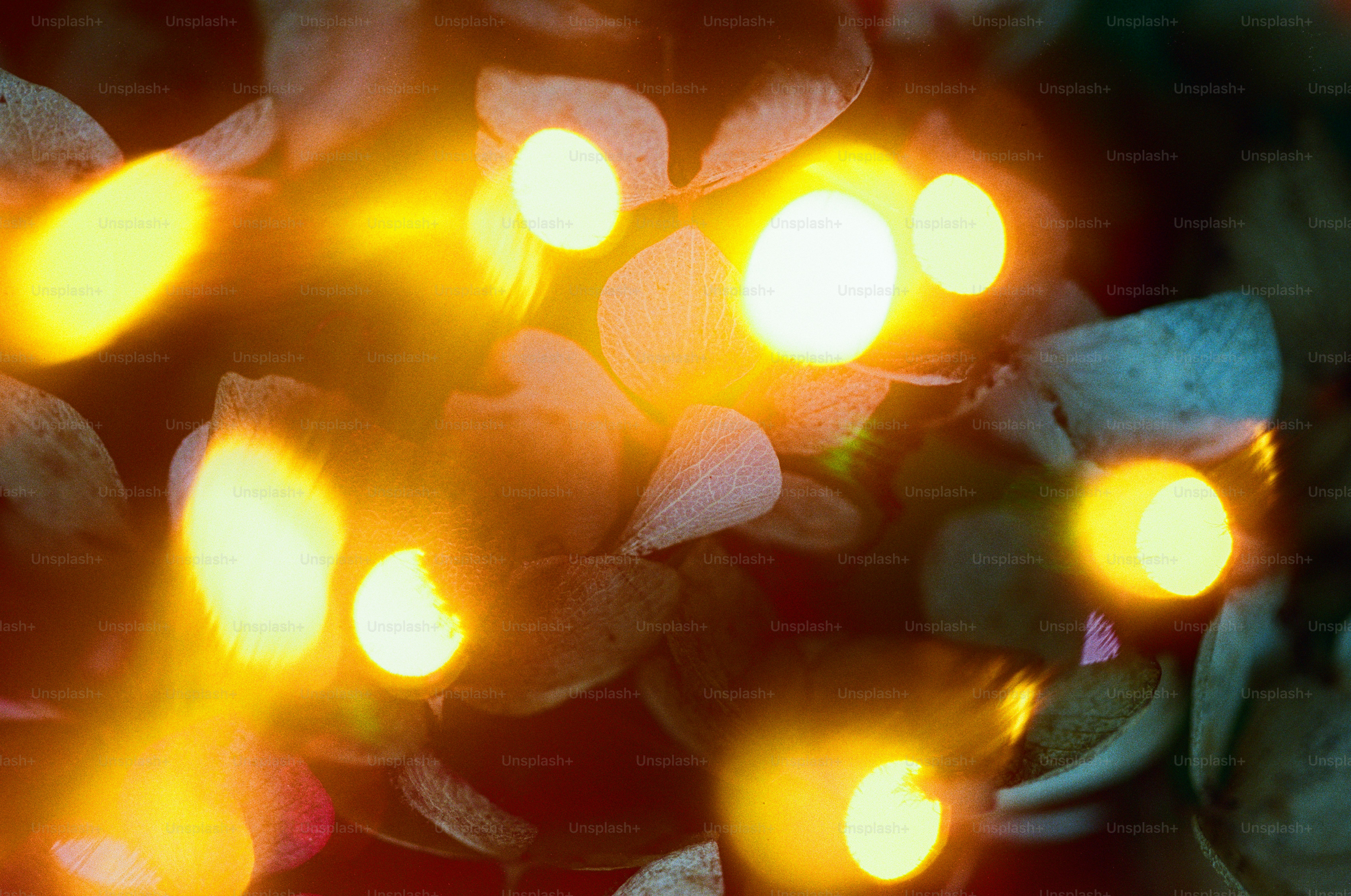 Close-up of glowing embers in a fire.