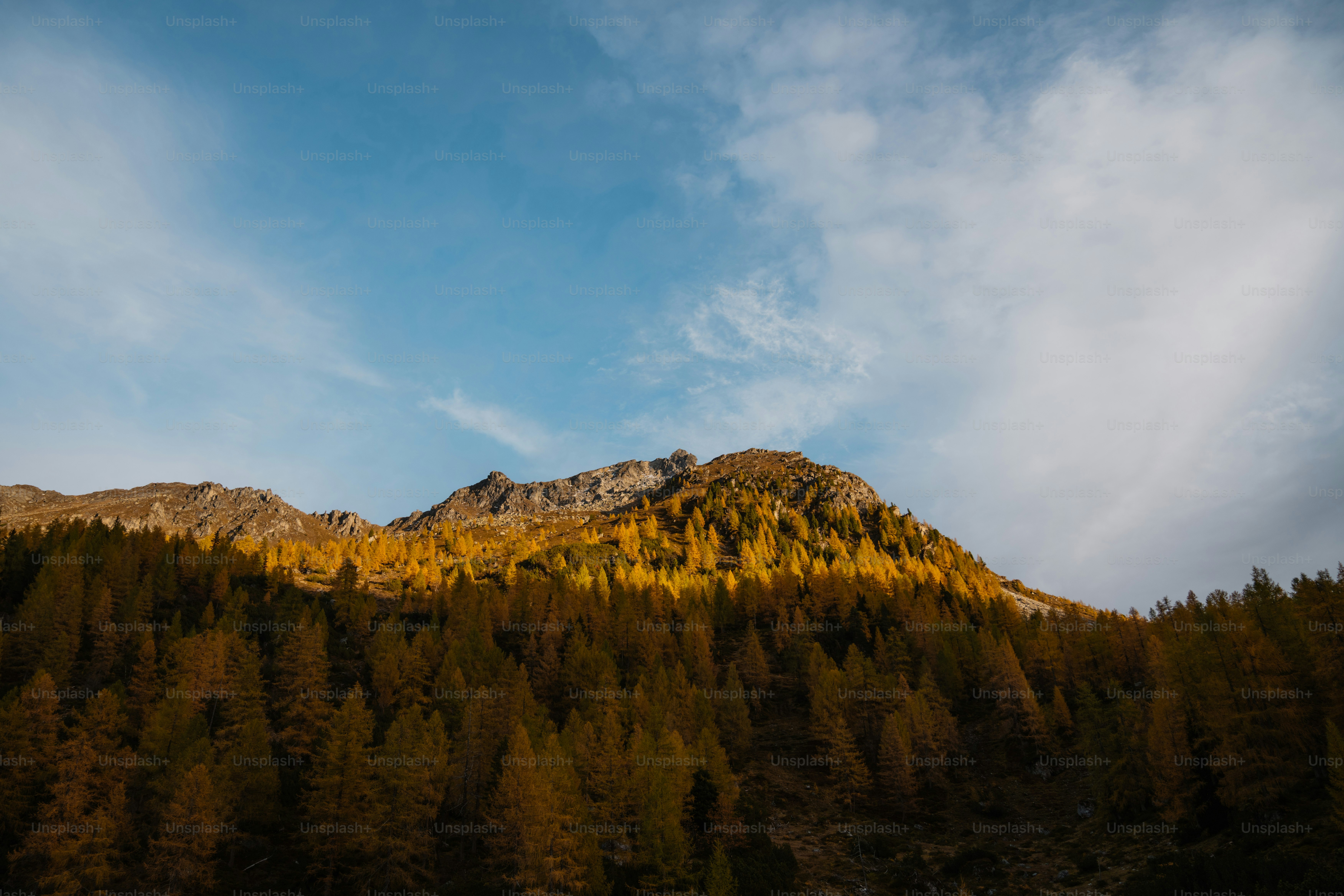 Autumn trees on a mountain slope under cloudy sky photo – Forest Image ...