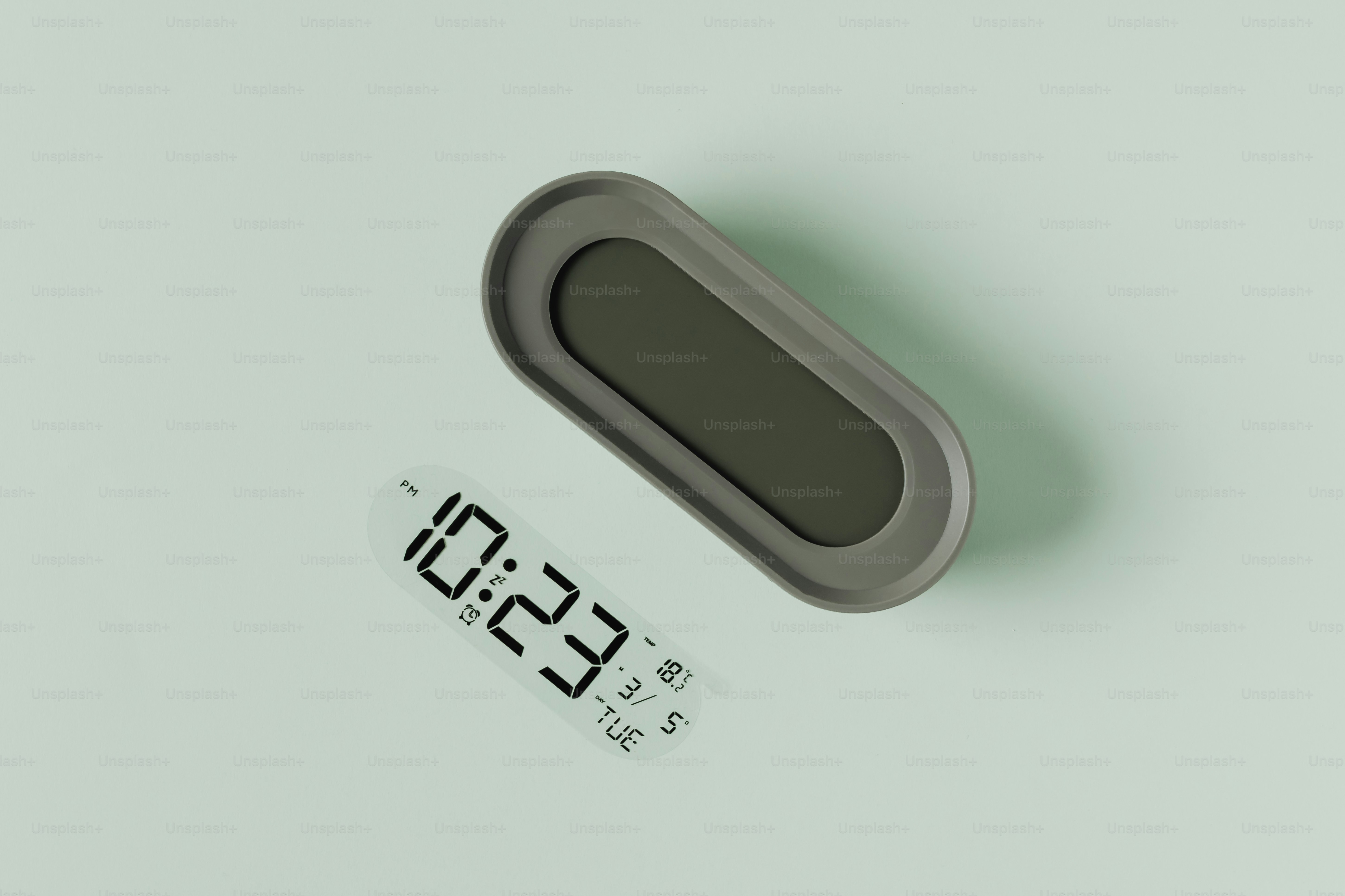 Pet hedgehog during hedgehog weight monitoring on a digital kitchen scale