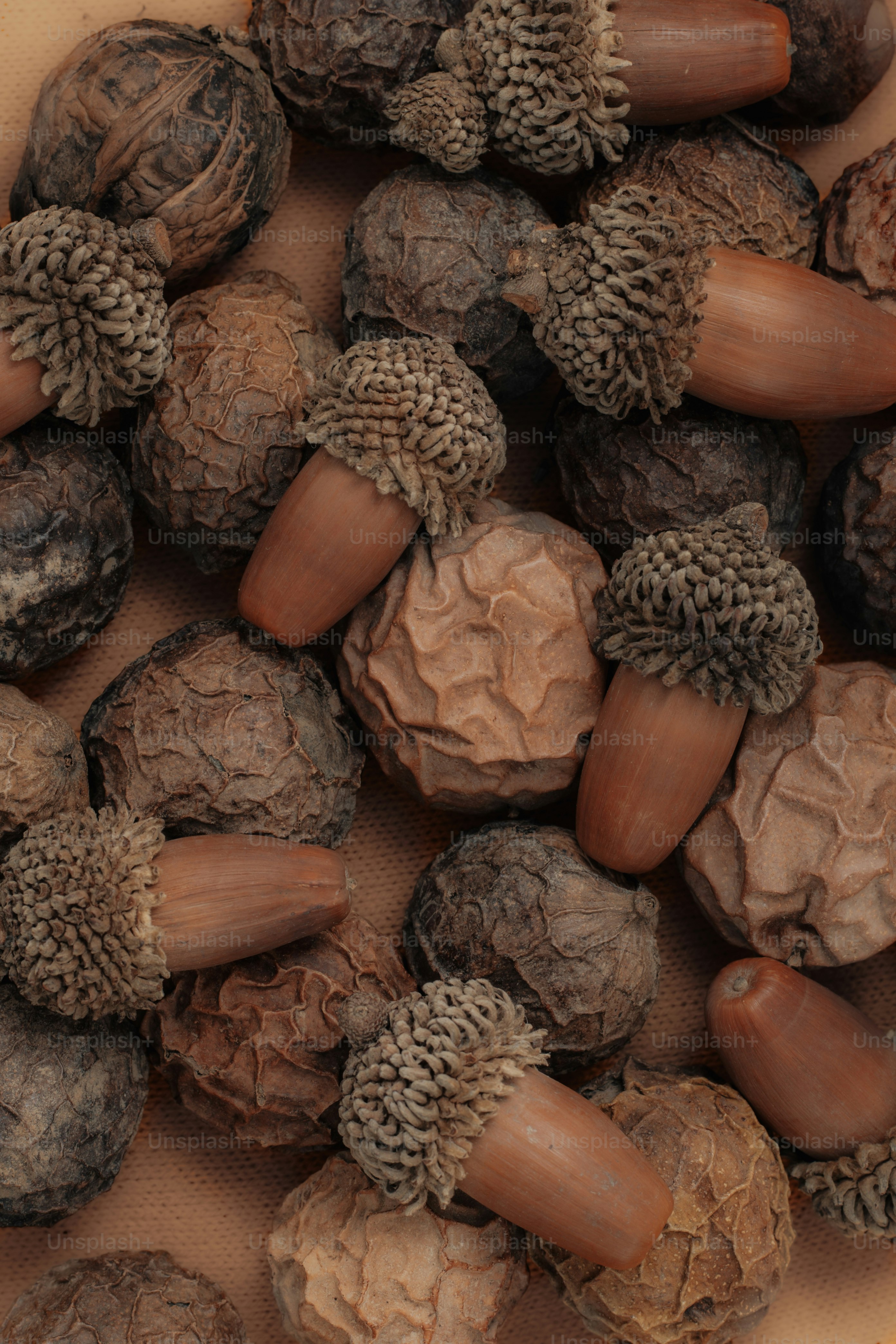 premium_photo-1761254978726-3493c1af6055