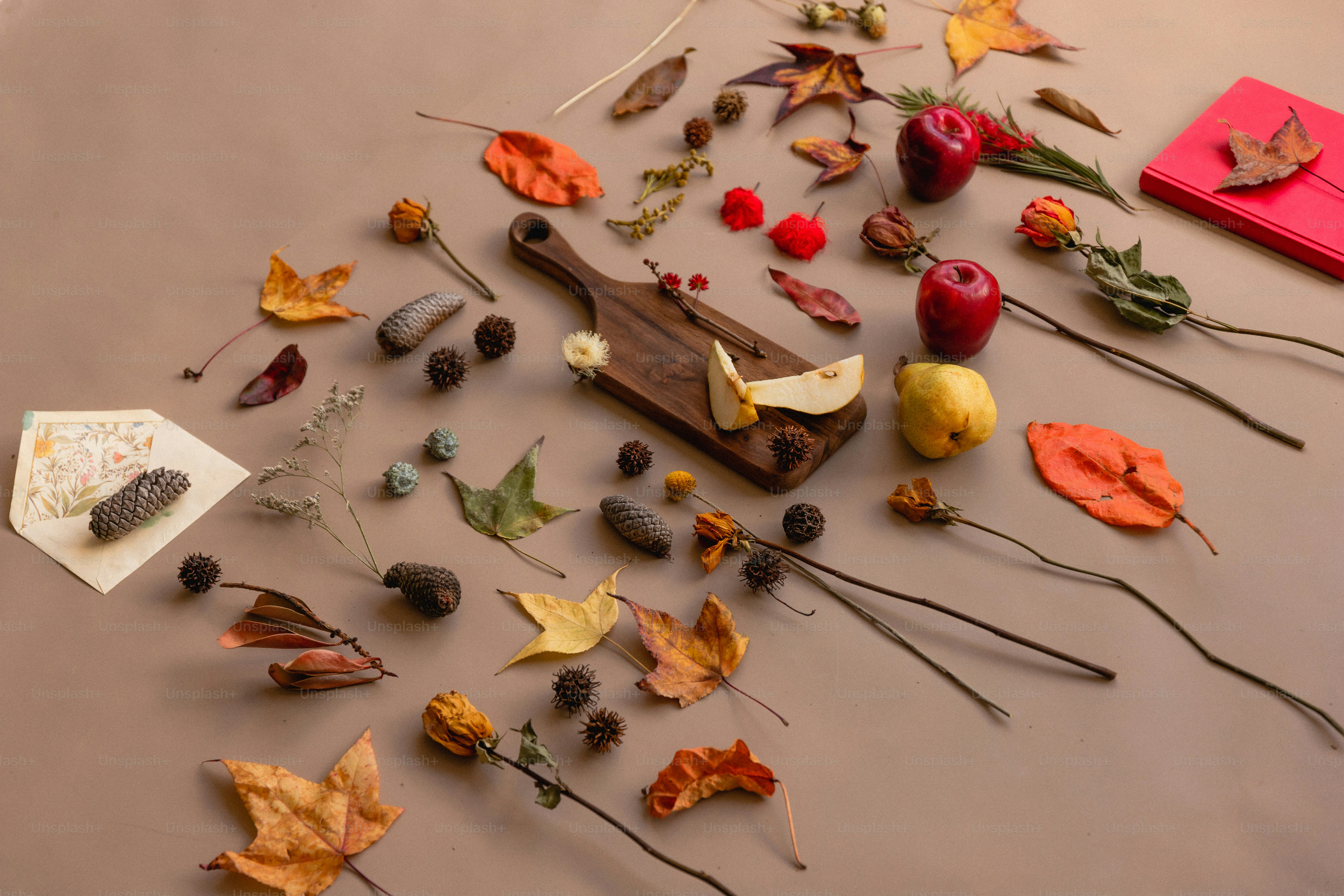 Assortment of natural objects arranged on a surface photo – Autumn ...