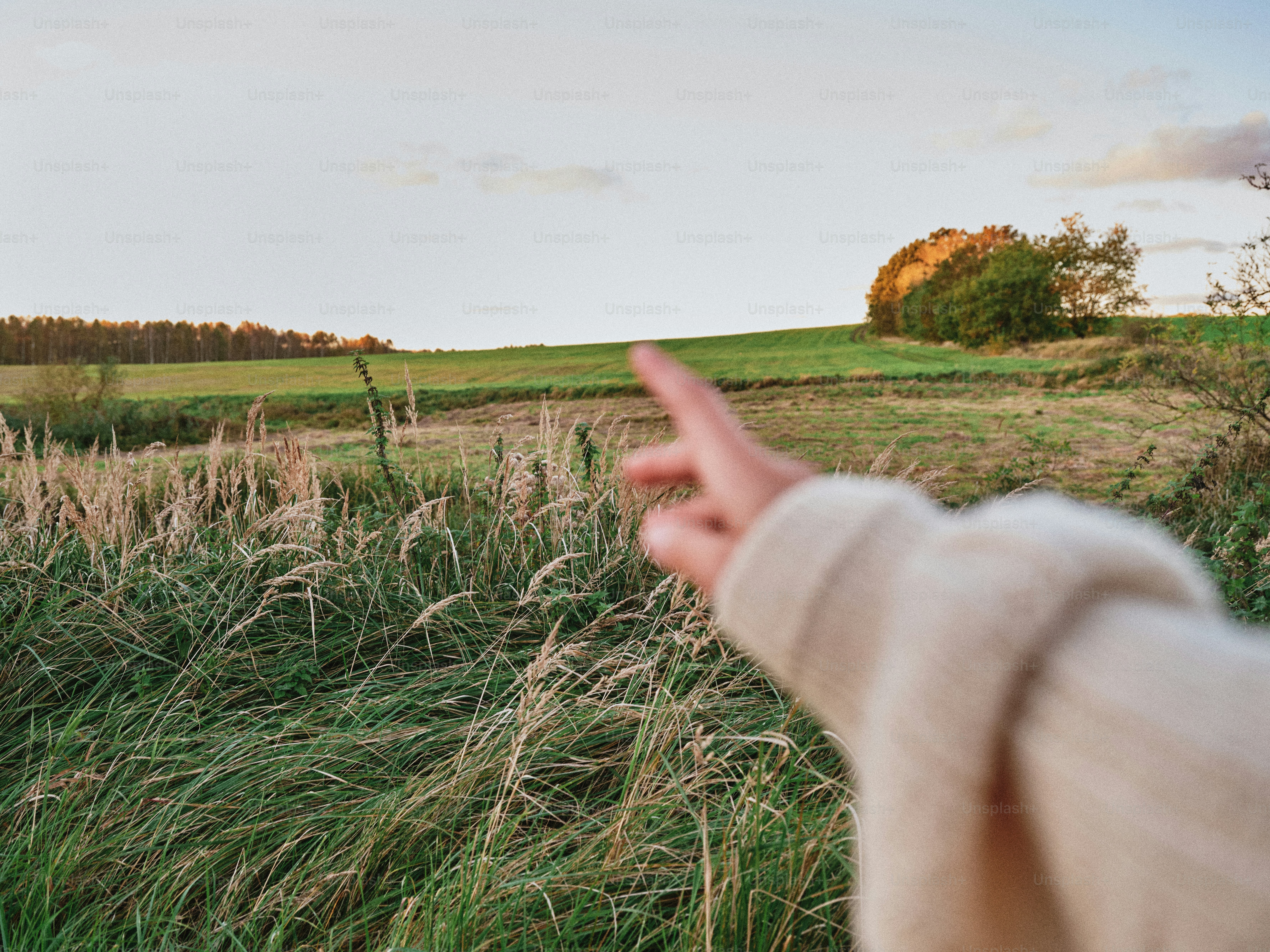Hand pointing towards a grassy field at sunset