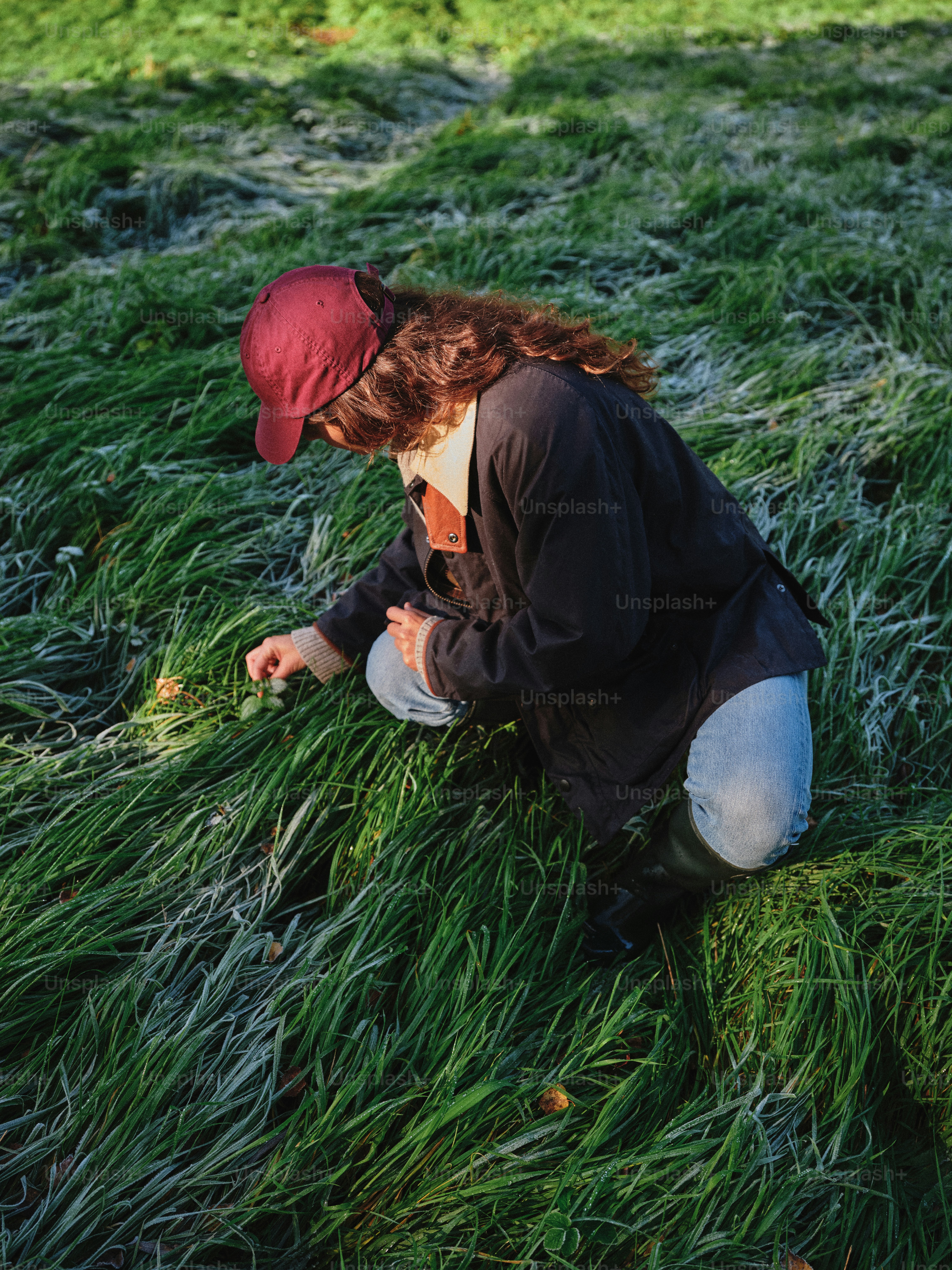 背の高い草にしゃがみ込み、植物を調べている女性。
