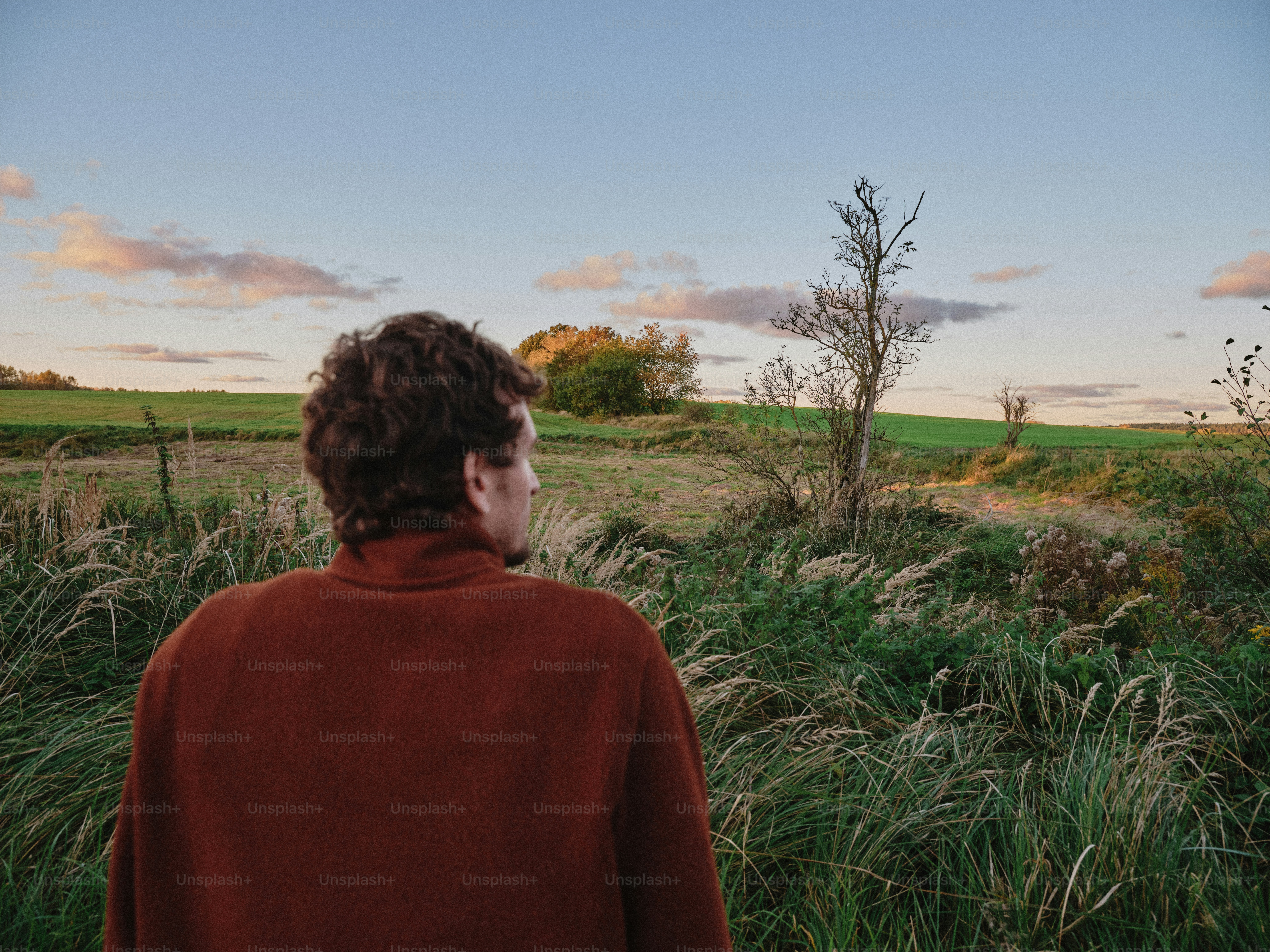 タートルネックを着た男性が夕暮れ時の芝生の野原を眺めている。